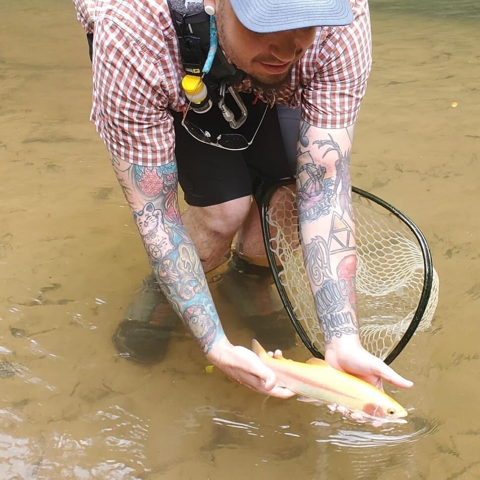 Founding member Ian Huron, with one of his first #palomino over the weekend 🙌🏻

#reelinginserenity #odaat #palomino #onthewater #ris #wedorecover #family #flyfishing #nature #sober #clean #familieswhofish #recoveryispossible #flyfishingsaveslives