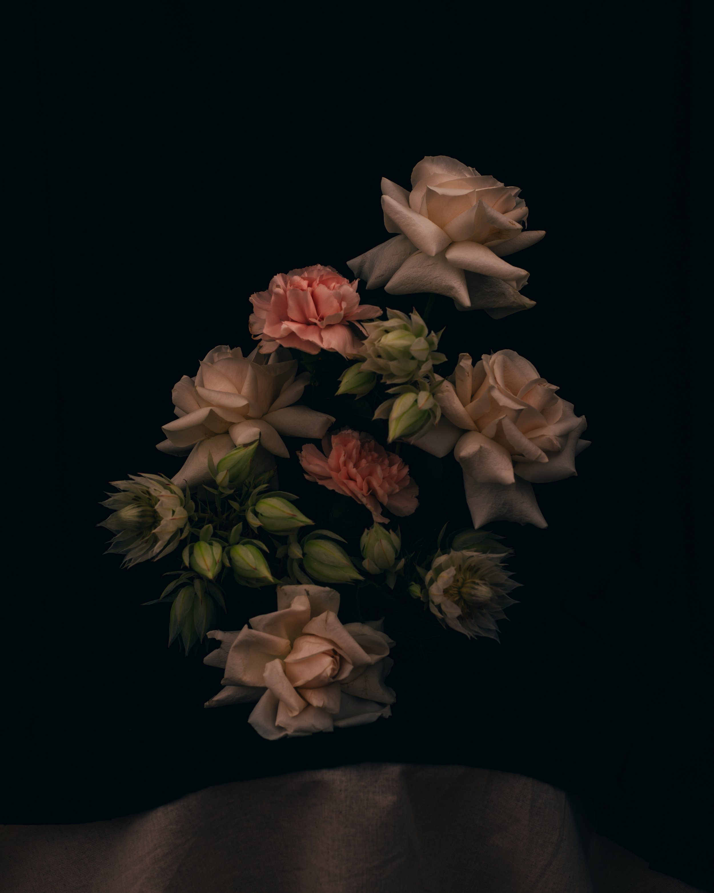 MariaCruzPhotography_FloralPhotography.jpg