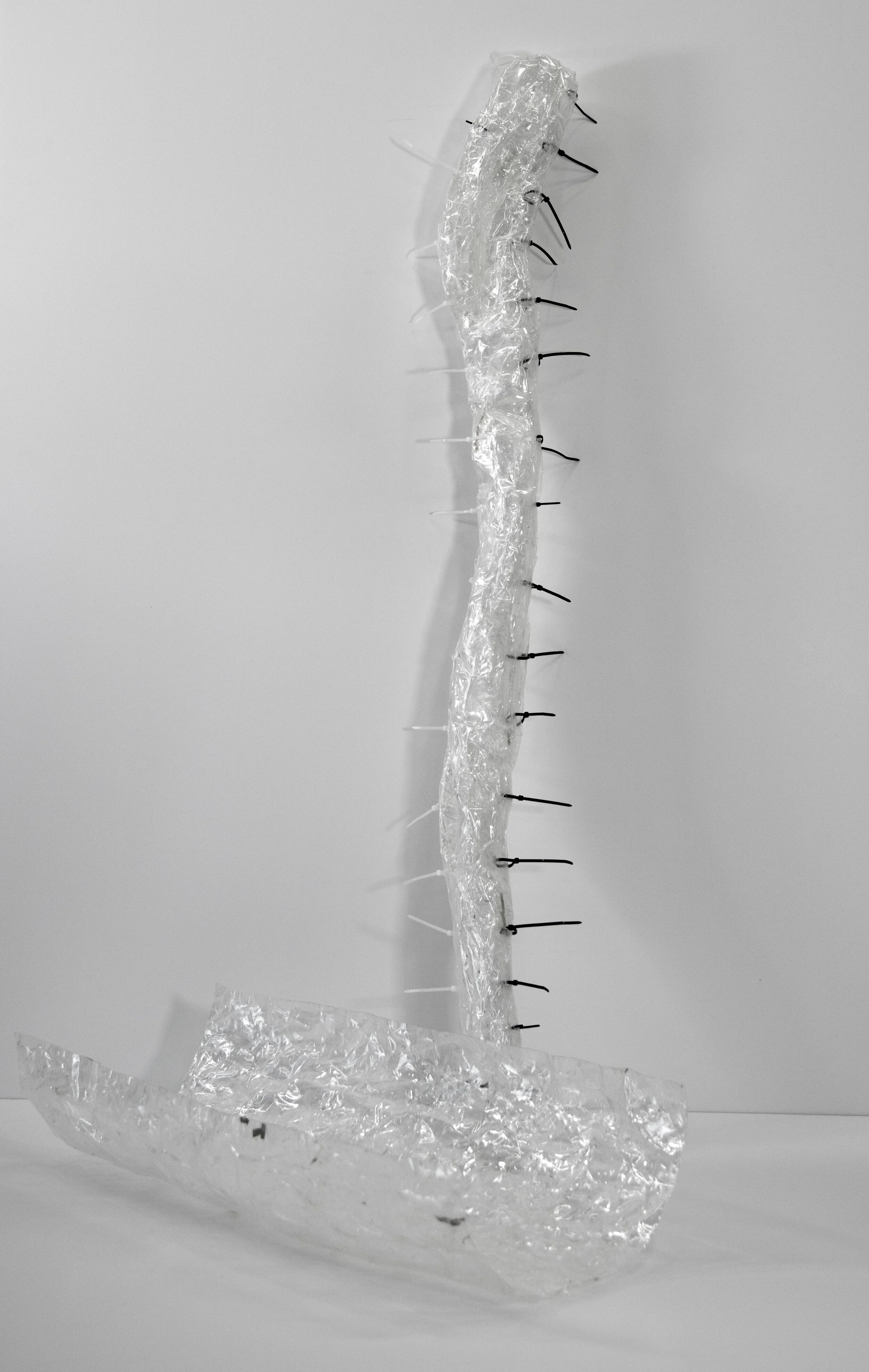 Spine Sculpture.jpg