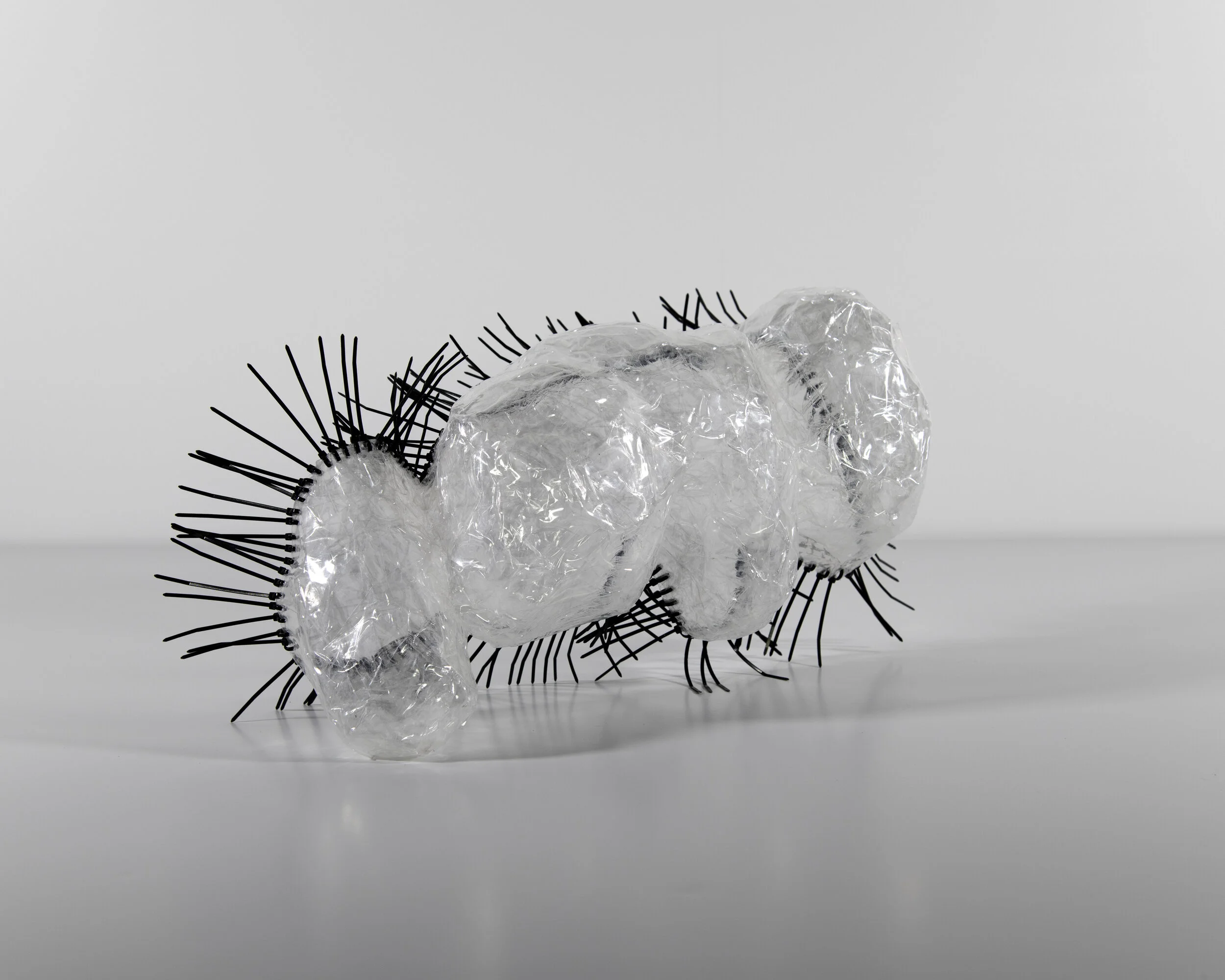 Series - Cable Ties_0003_10 2.jpg