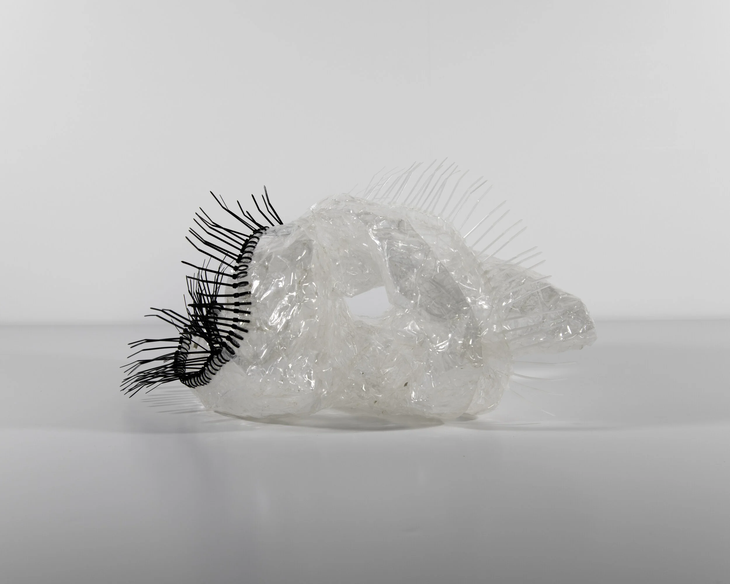 Series - Cable Ties_0005_8 2.jpg