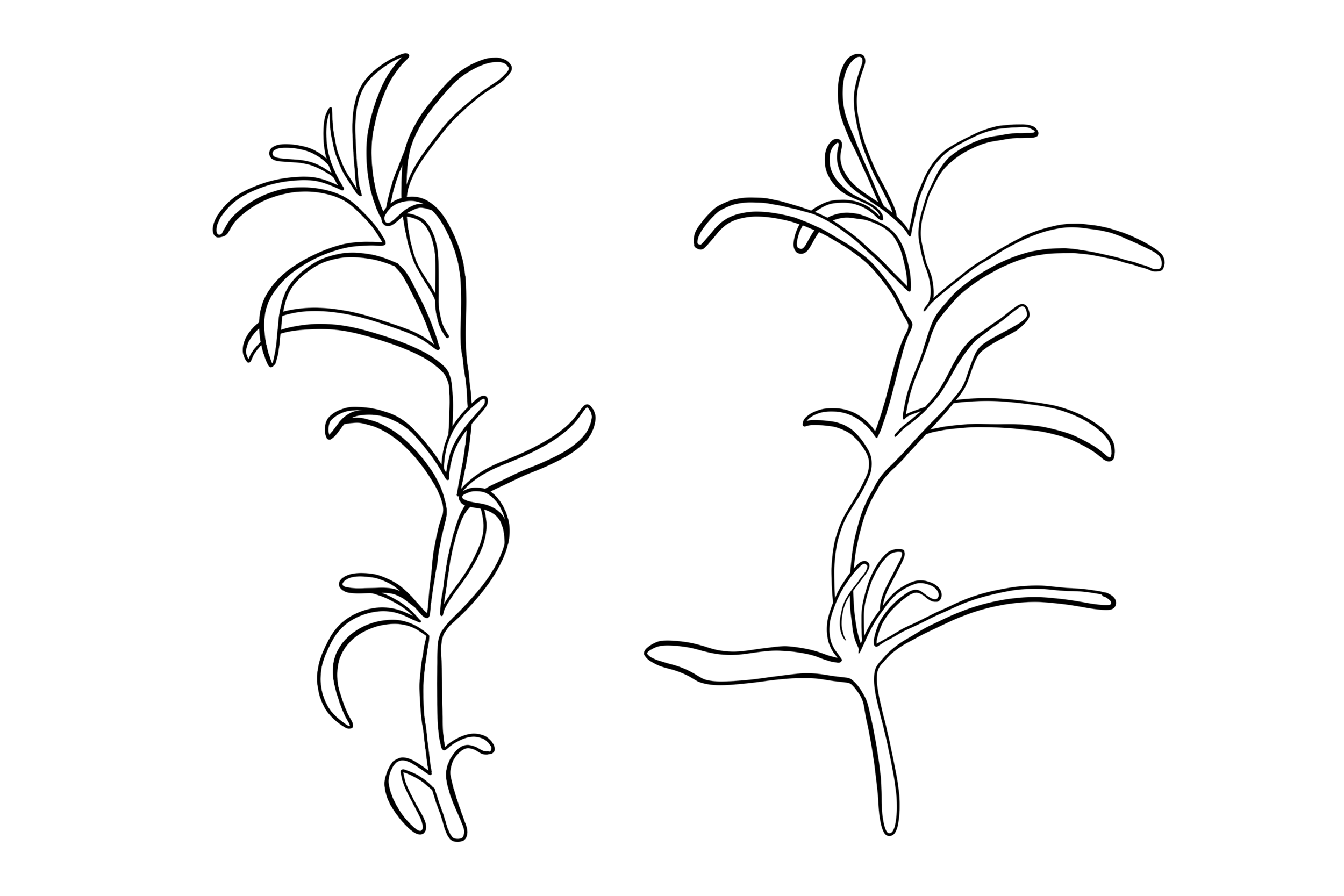 image 1.png