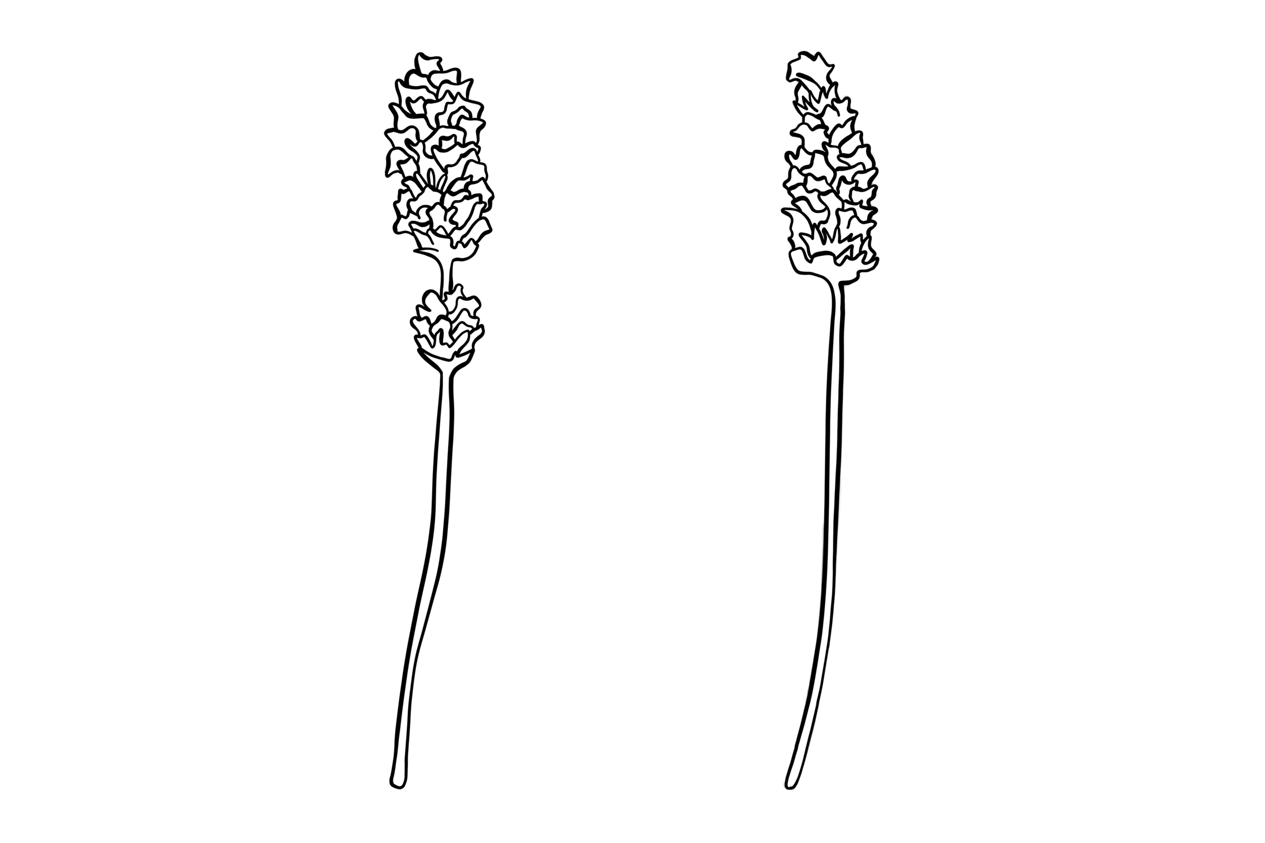 image 2.png
