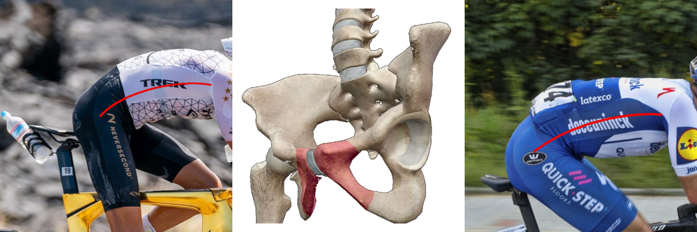 Your Bike Fit Begins With Your Saddle — Wove