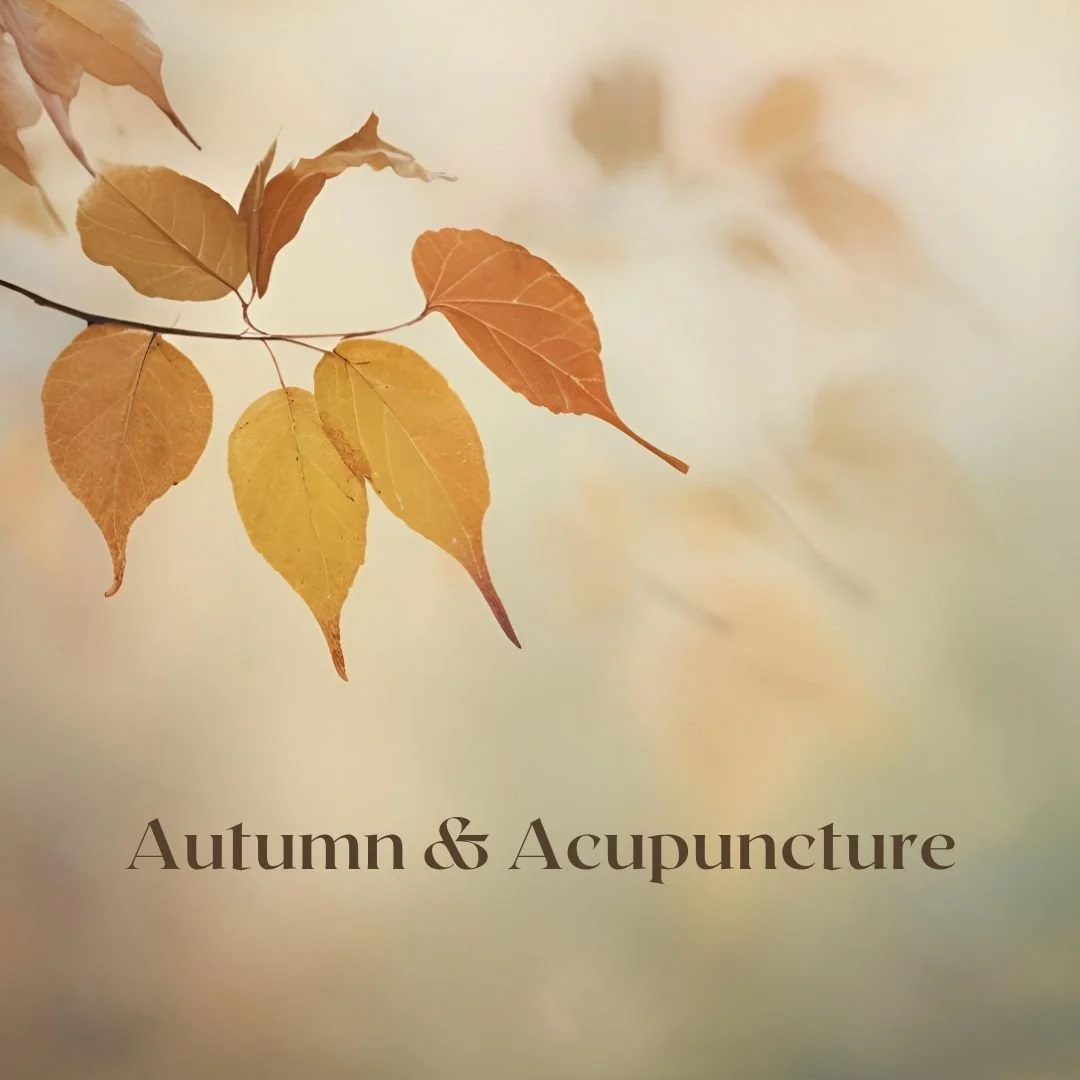 🍂Autumn &amp; Acupuncture🍂