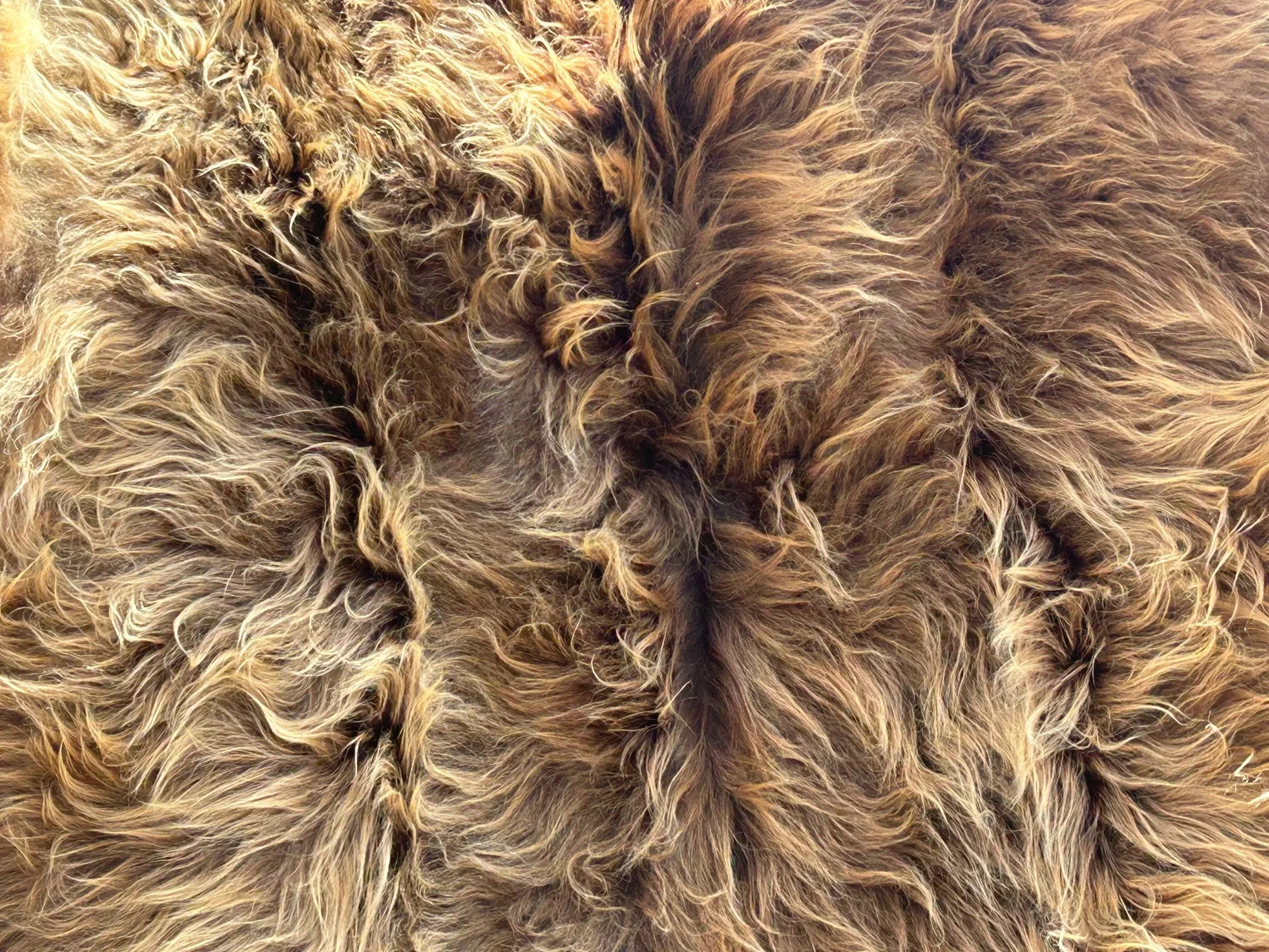 Close-up ofthe highland rug for sale