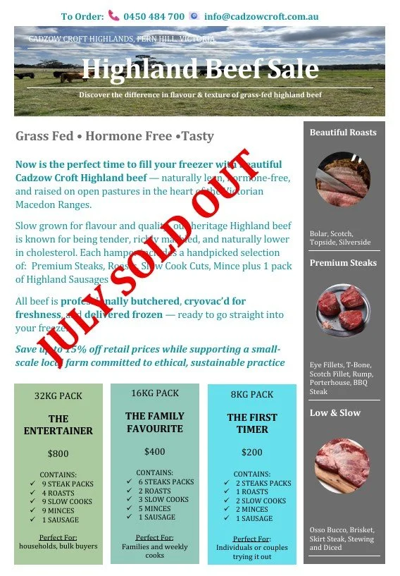 Flyer for Highland Beef Sale featuring grass-fed, hormone-free beef available in packs of 32kg, 16kg, and 8kg, with options for households, families, and individuals.