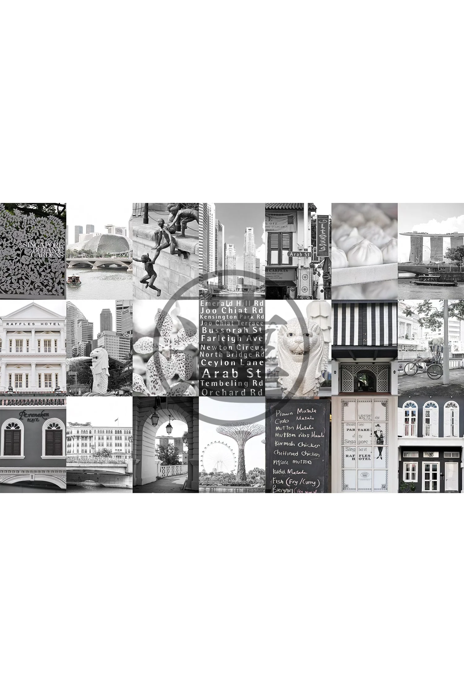 PLACES - Singapore Orchid (Landscape)