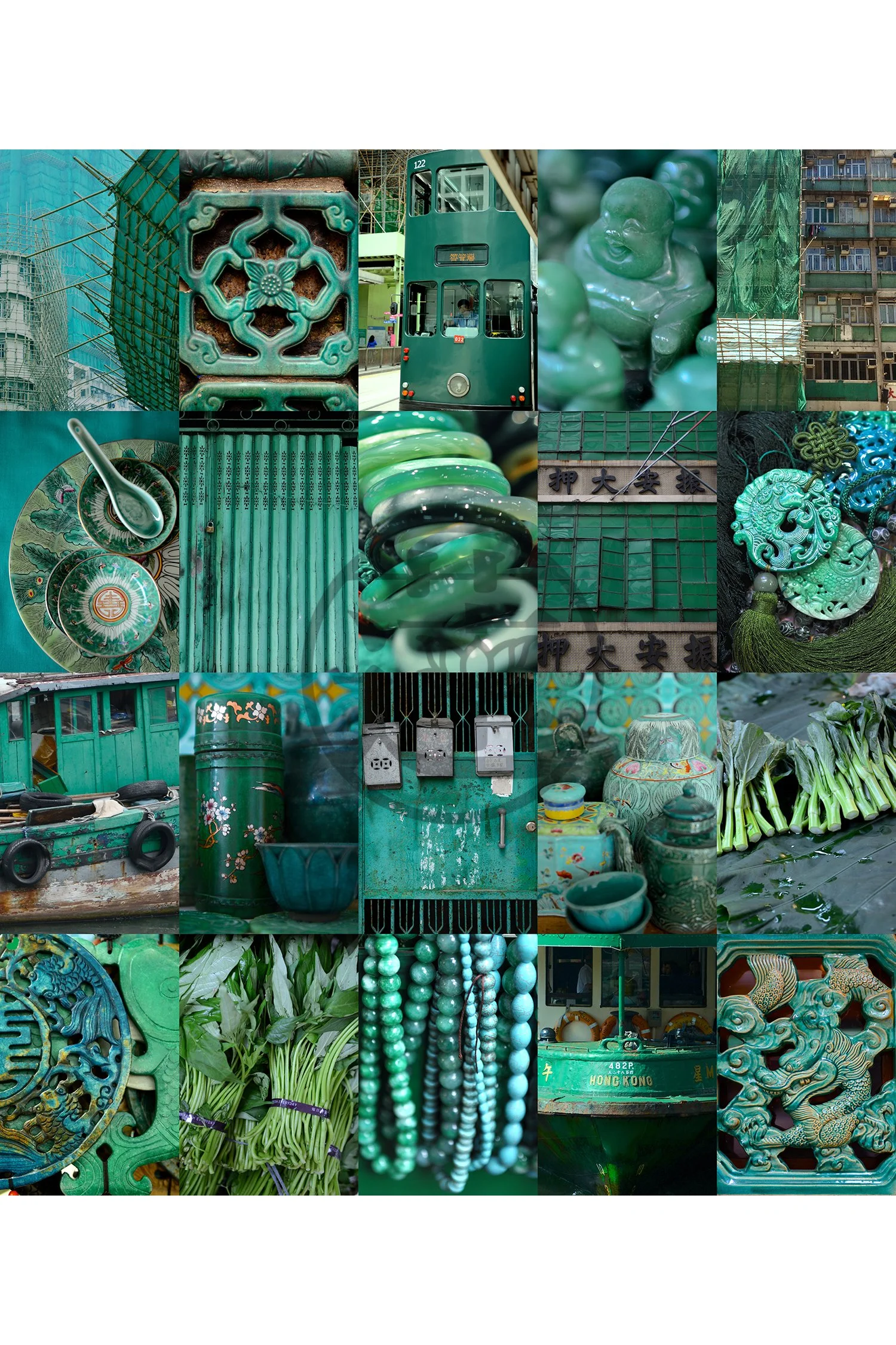 HONG KONG - Bok Choy