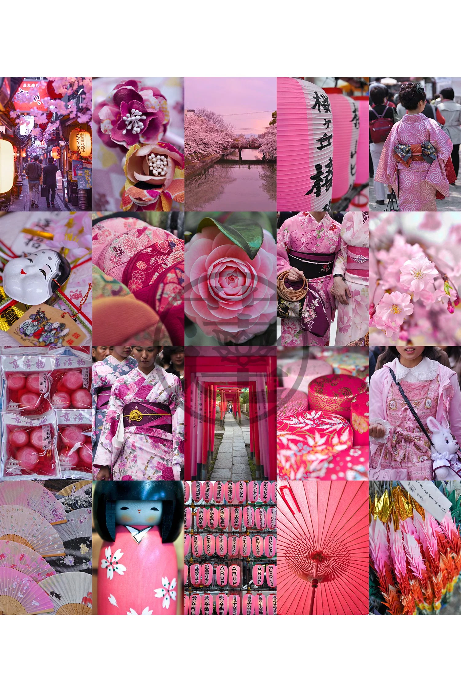 PLACES - Japan Sakura