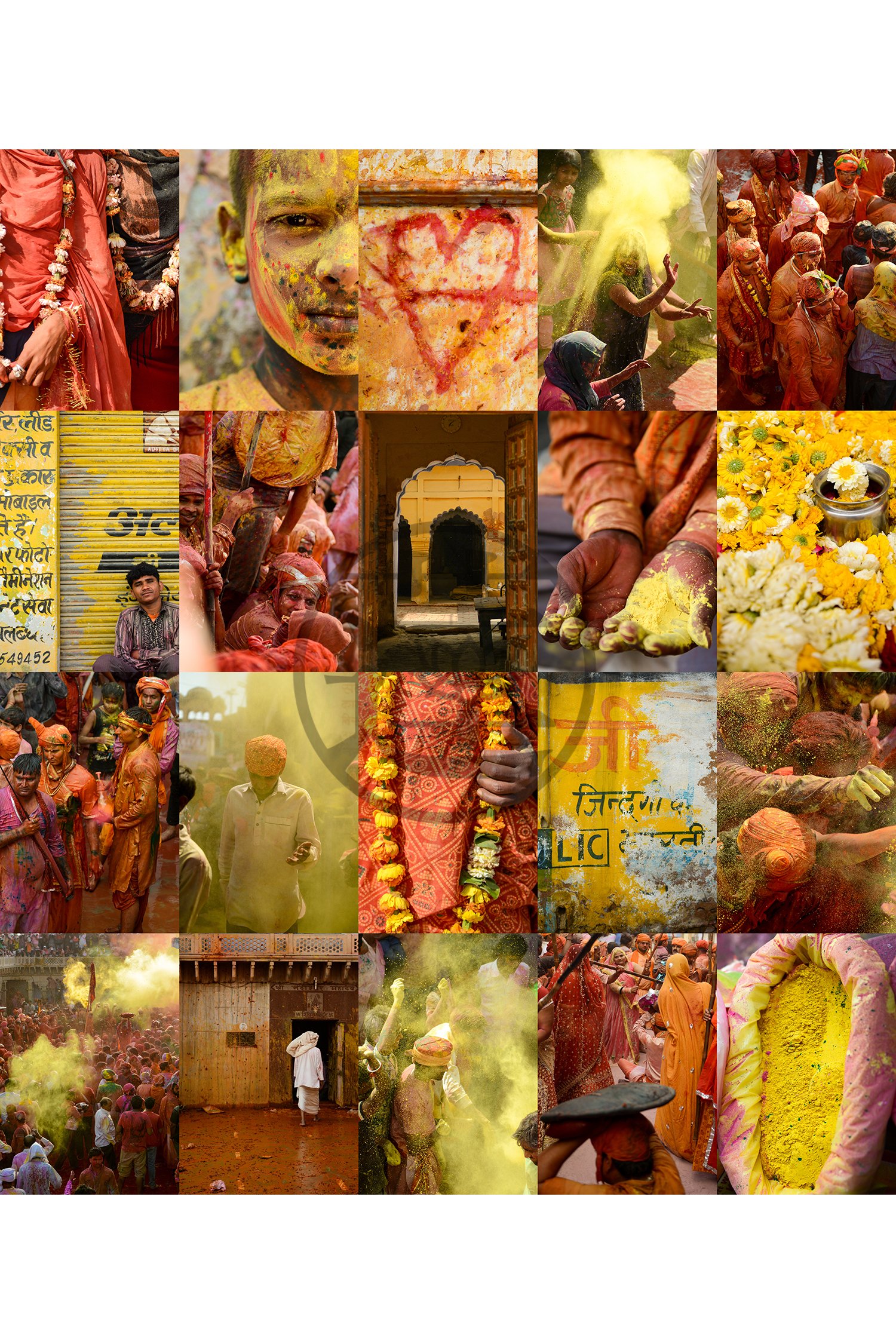 Holi-Saffron-web-CR adj.jpg