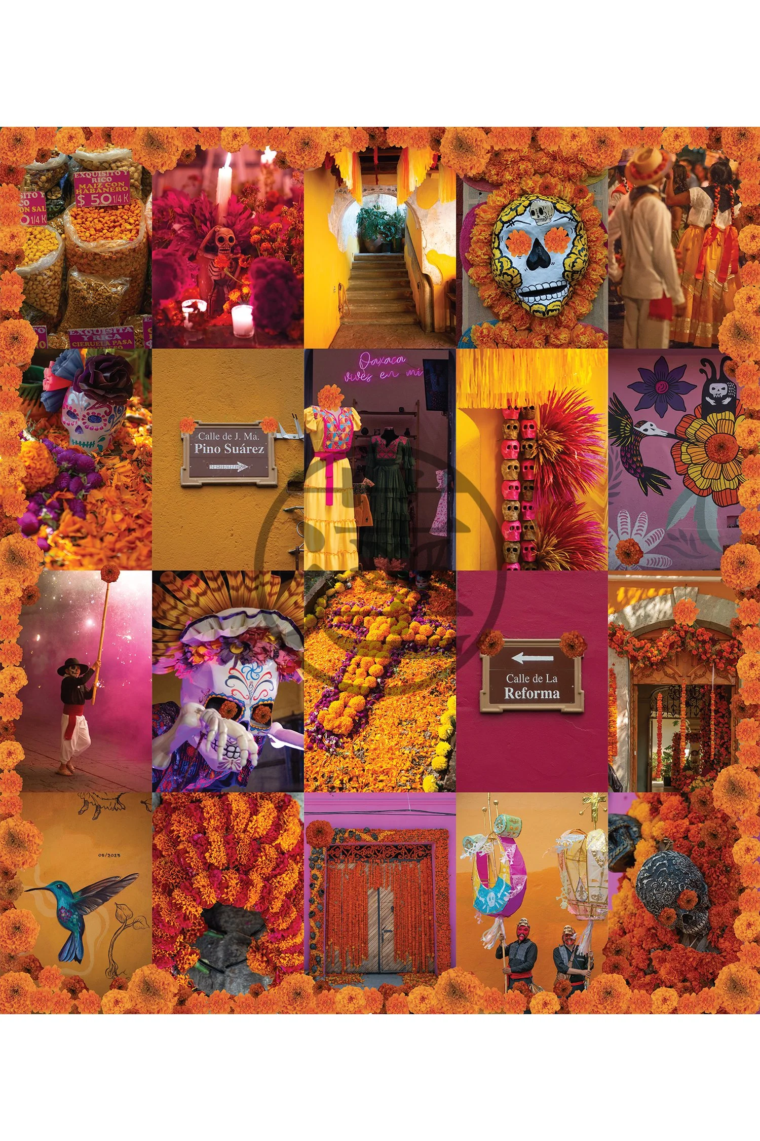 Oaxaca - Marigold-web-CR adj.jpg