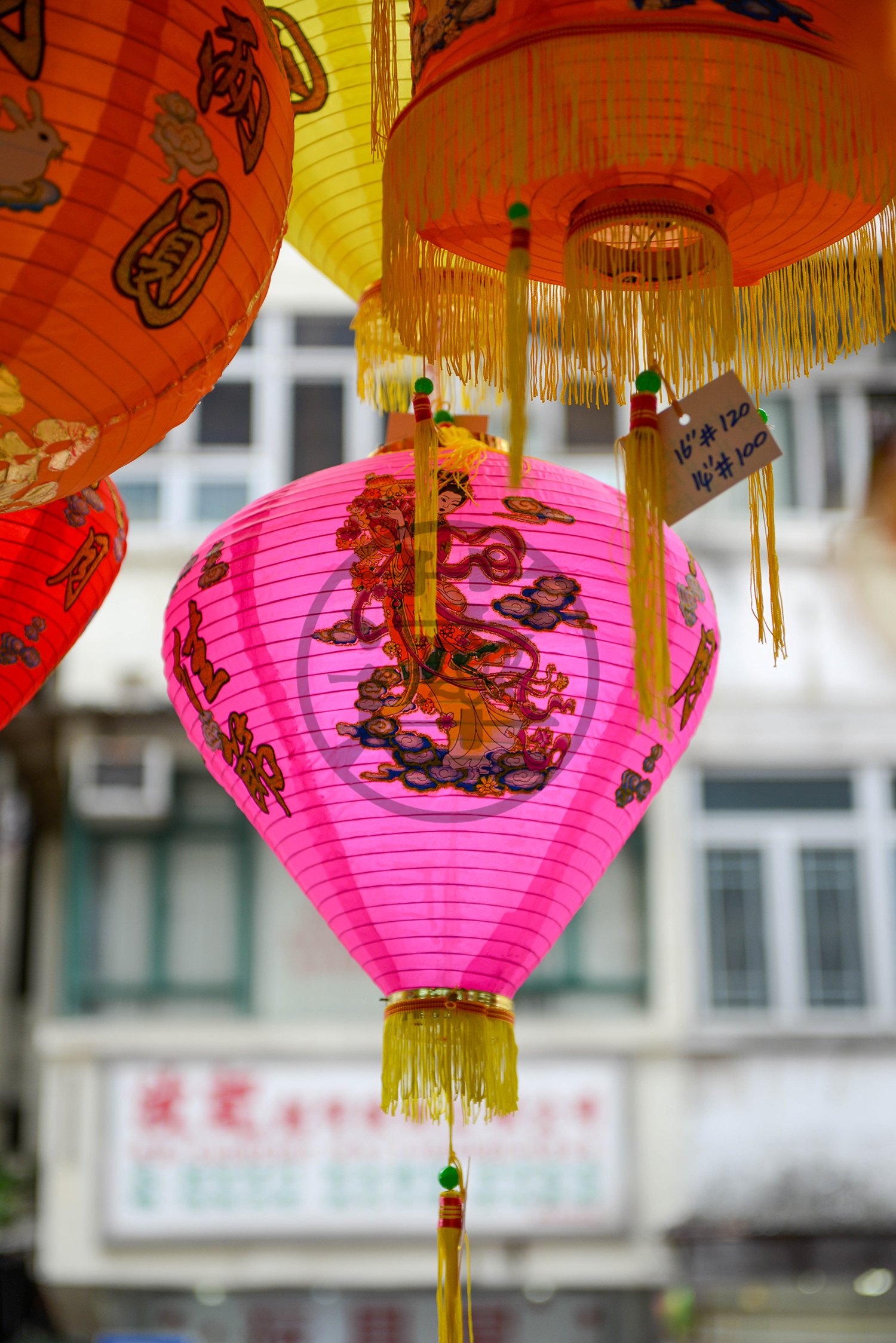 HK-0067-Pink Lantern-web-CR.jpg
