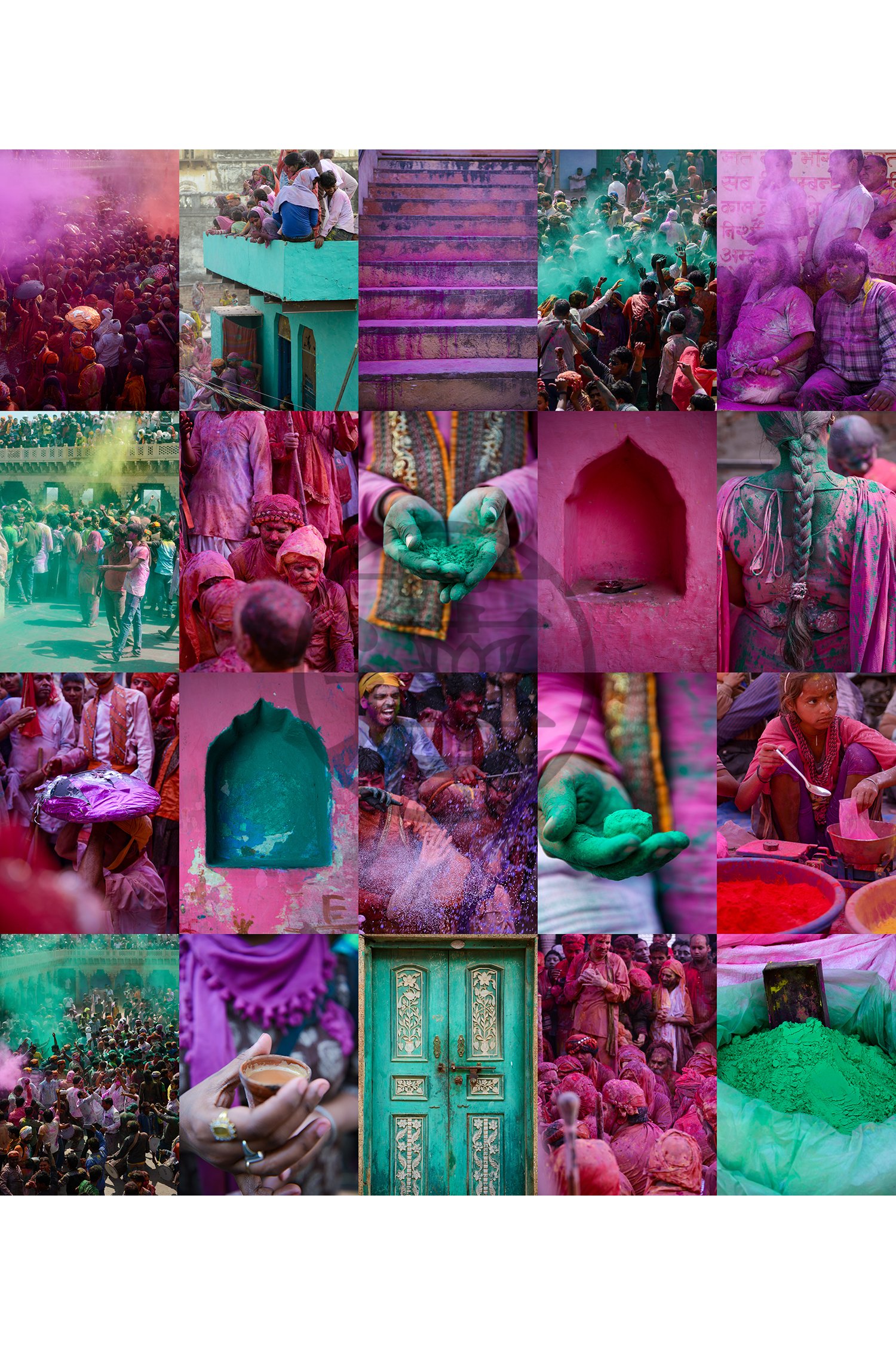 Holi-Cerise-web-CR adj.jpg