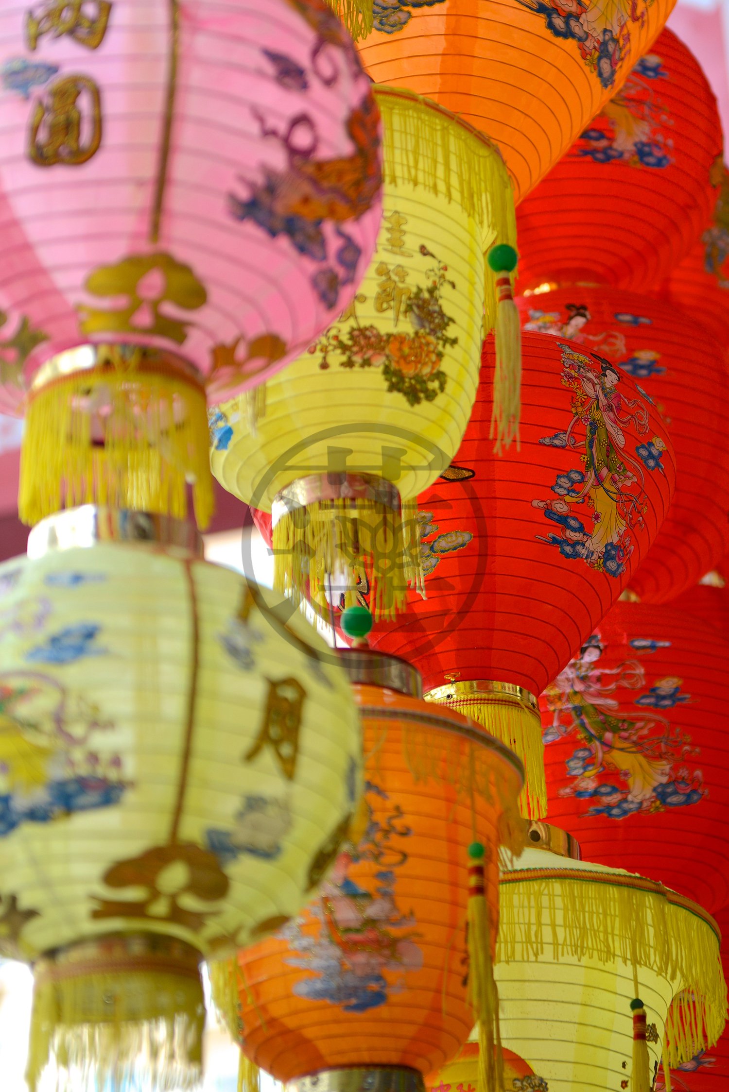 HK-0100-Chinese Lanterns-web-CR.jpg