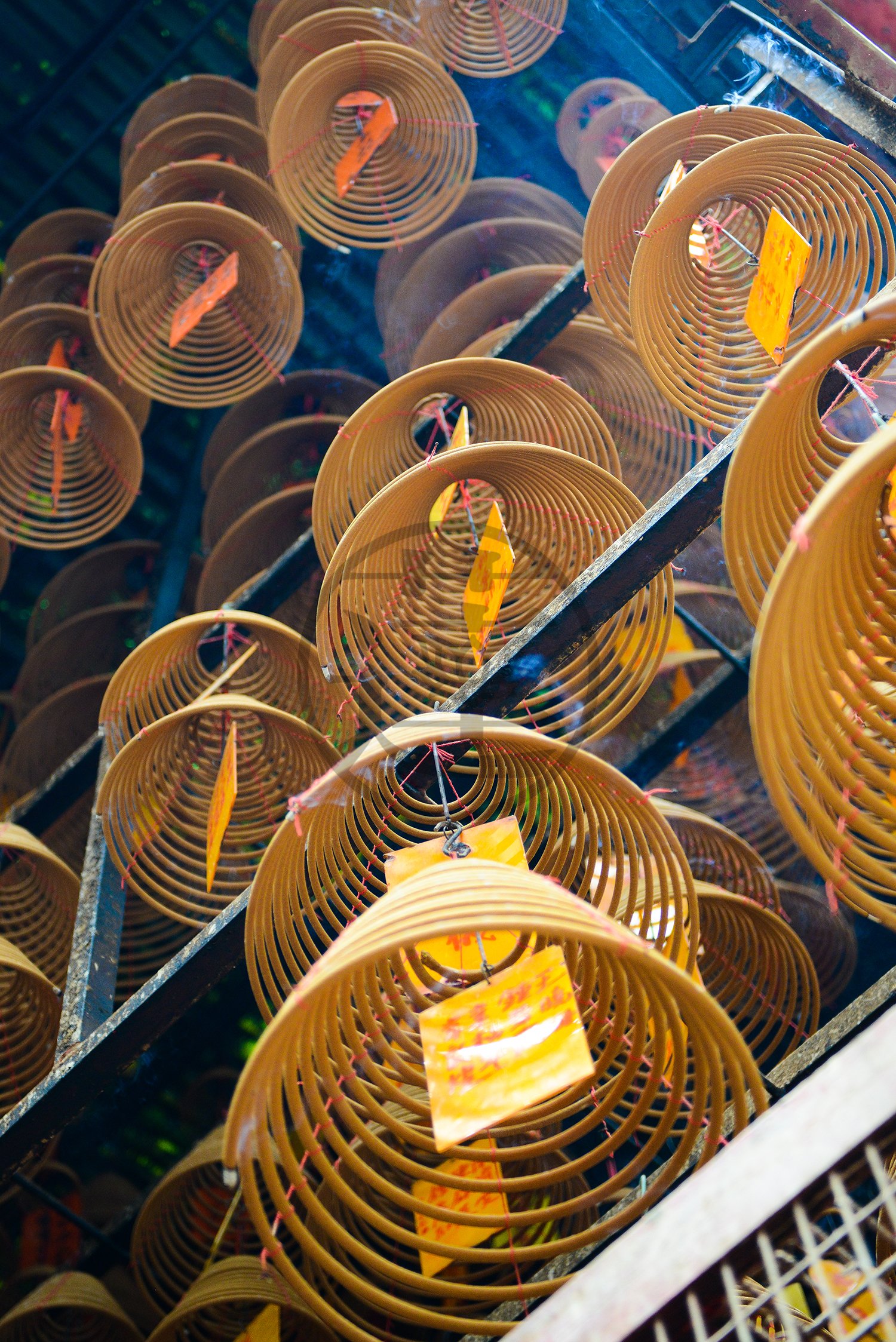 HK-0113-Hanging Coils-web-CR.jpg