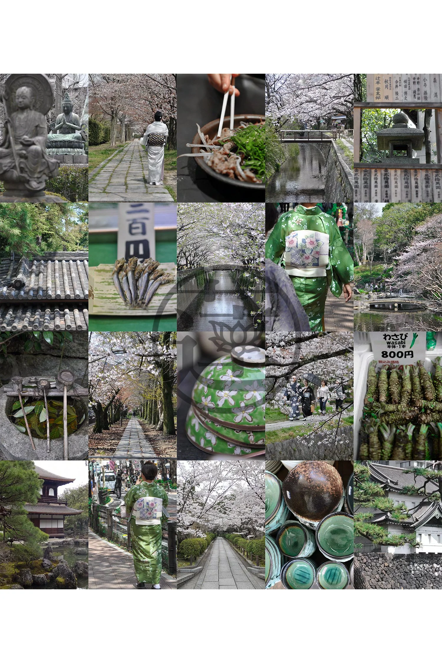 PLACES - Japan Wasabi