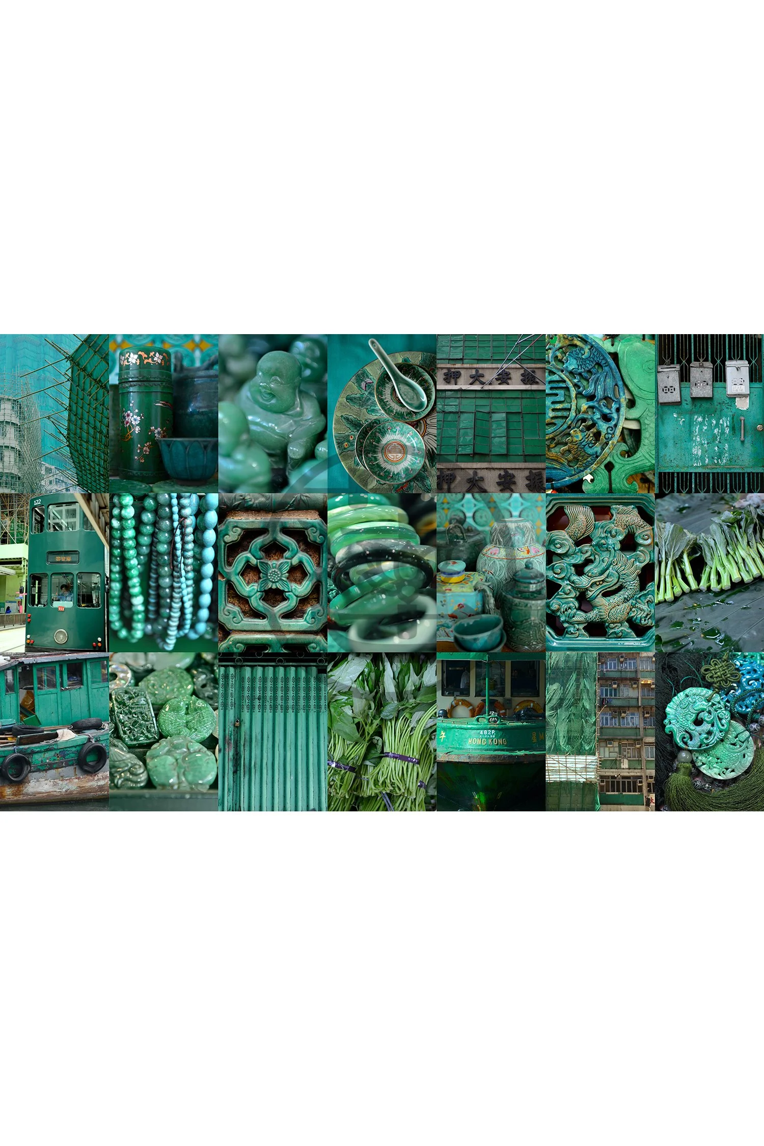 HONG KONG - Bok Choy (landscape)