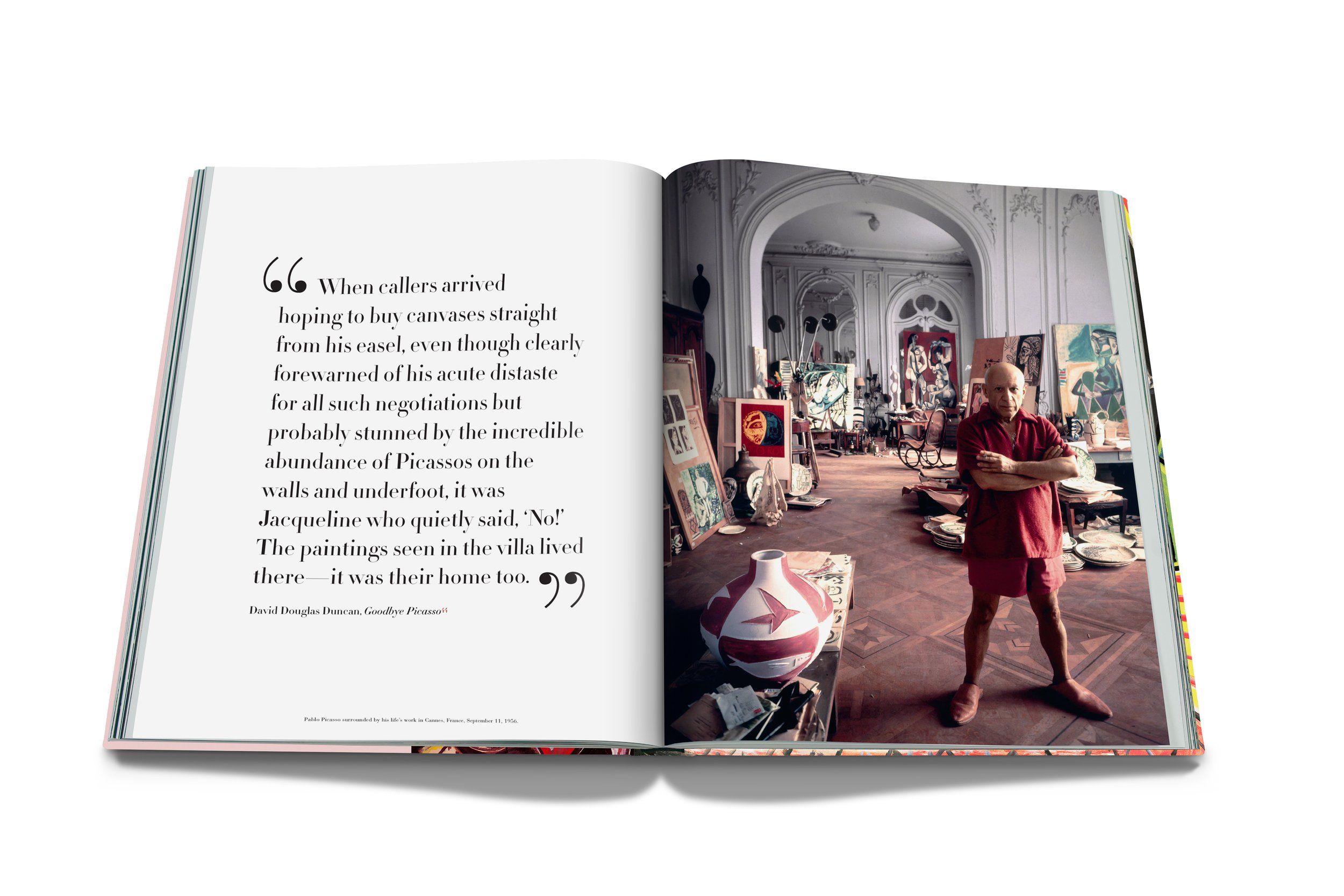 assouline-picasso-ultimate-06.jpg