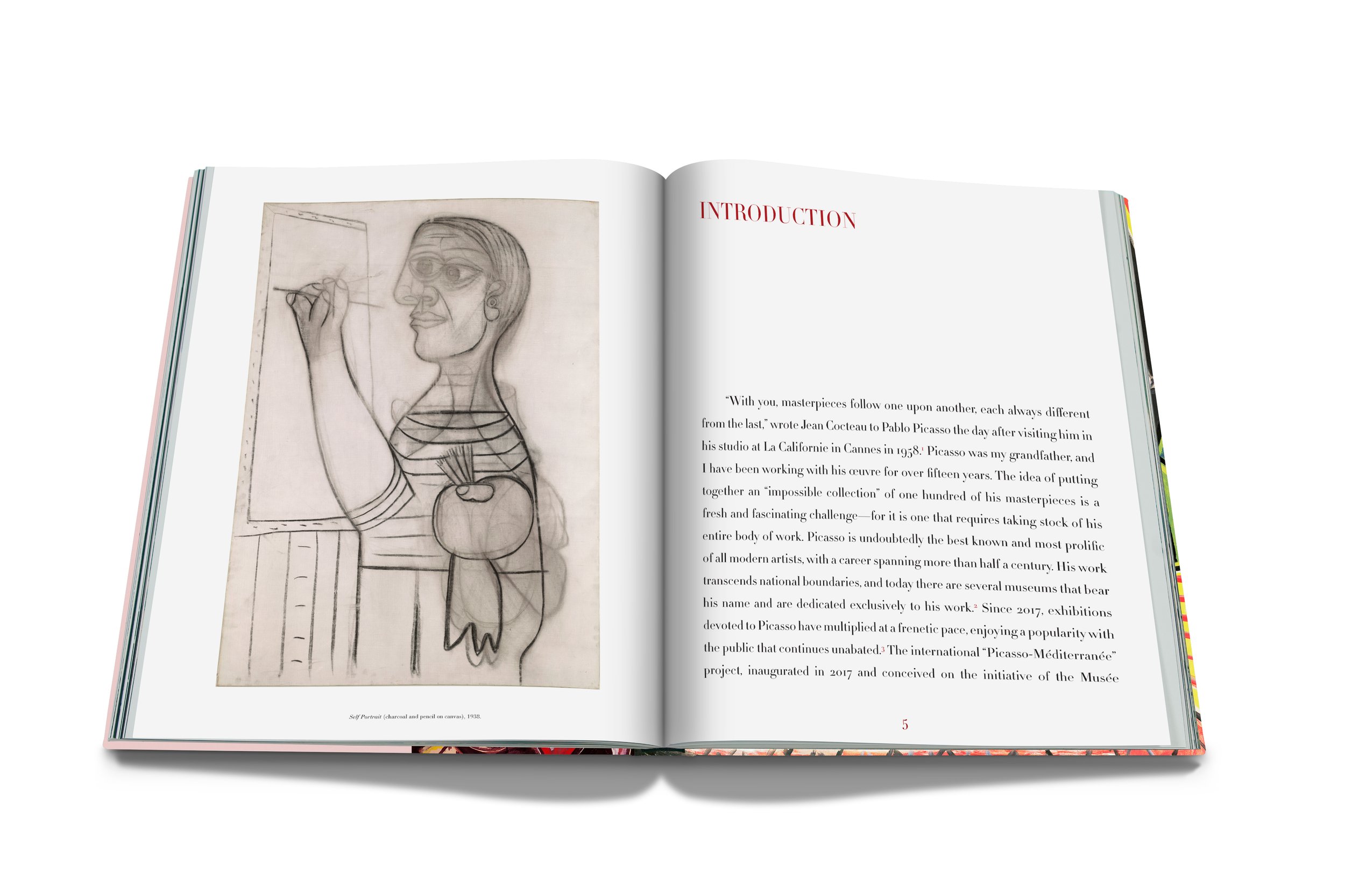assouline-picasso-ultimate-04.jpg
