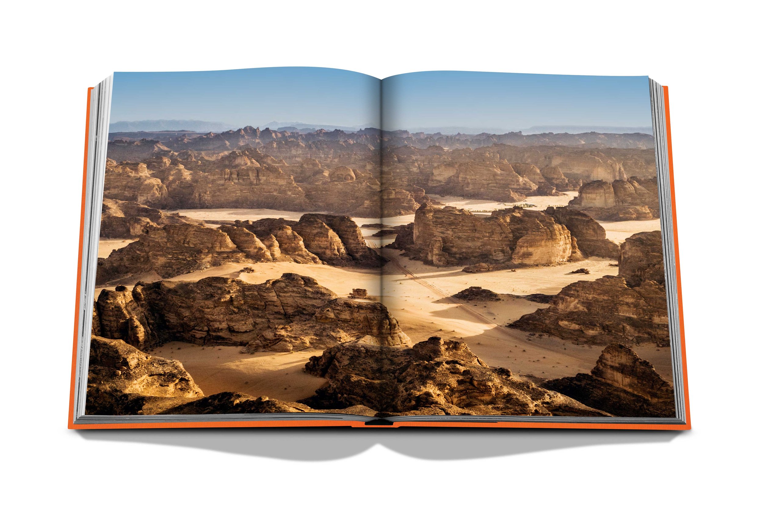 assouline-alula-ever-06.jpg