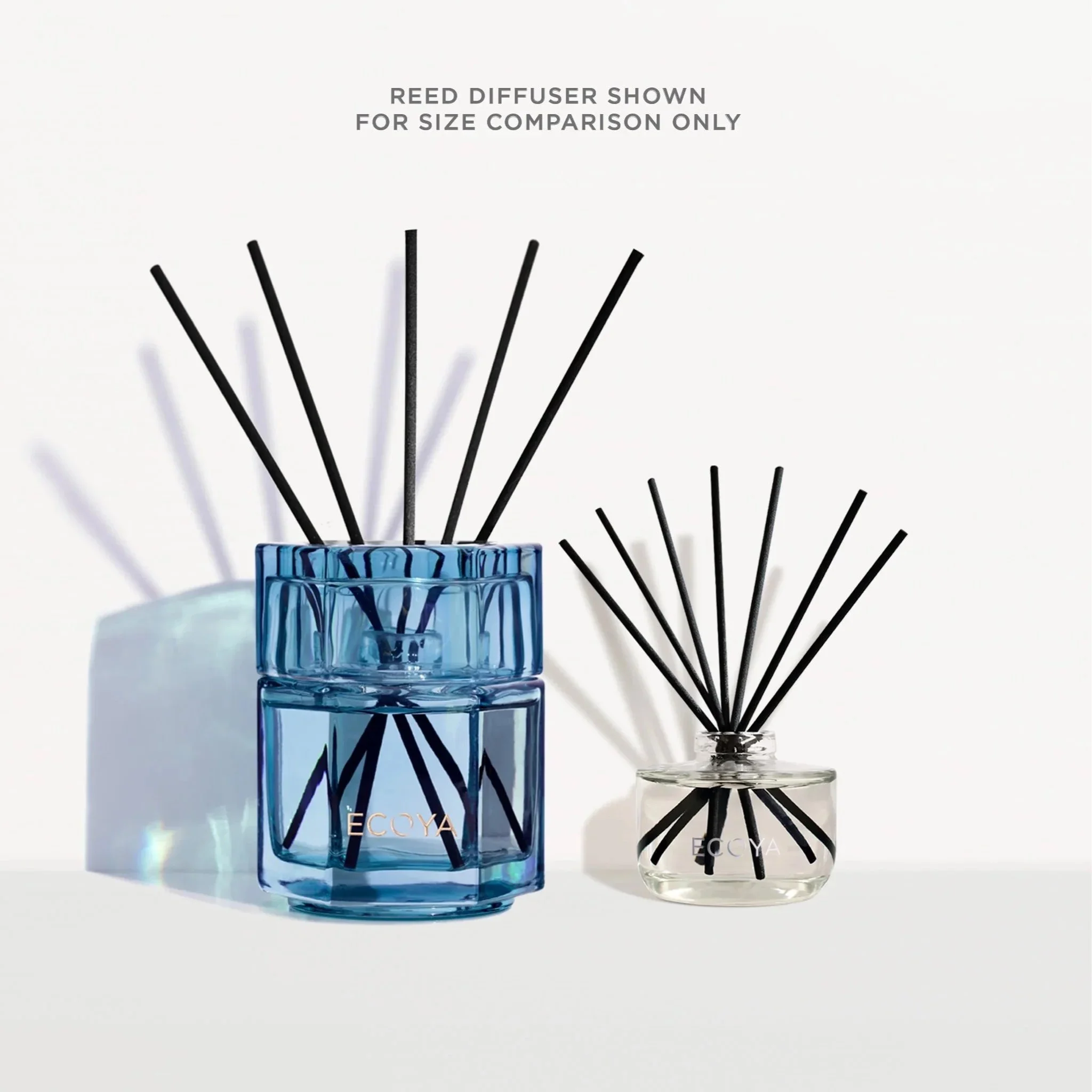 ecoya-REED555-2.jpg