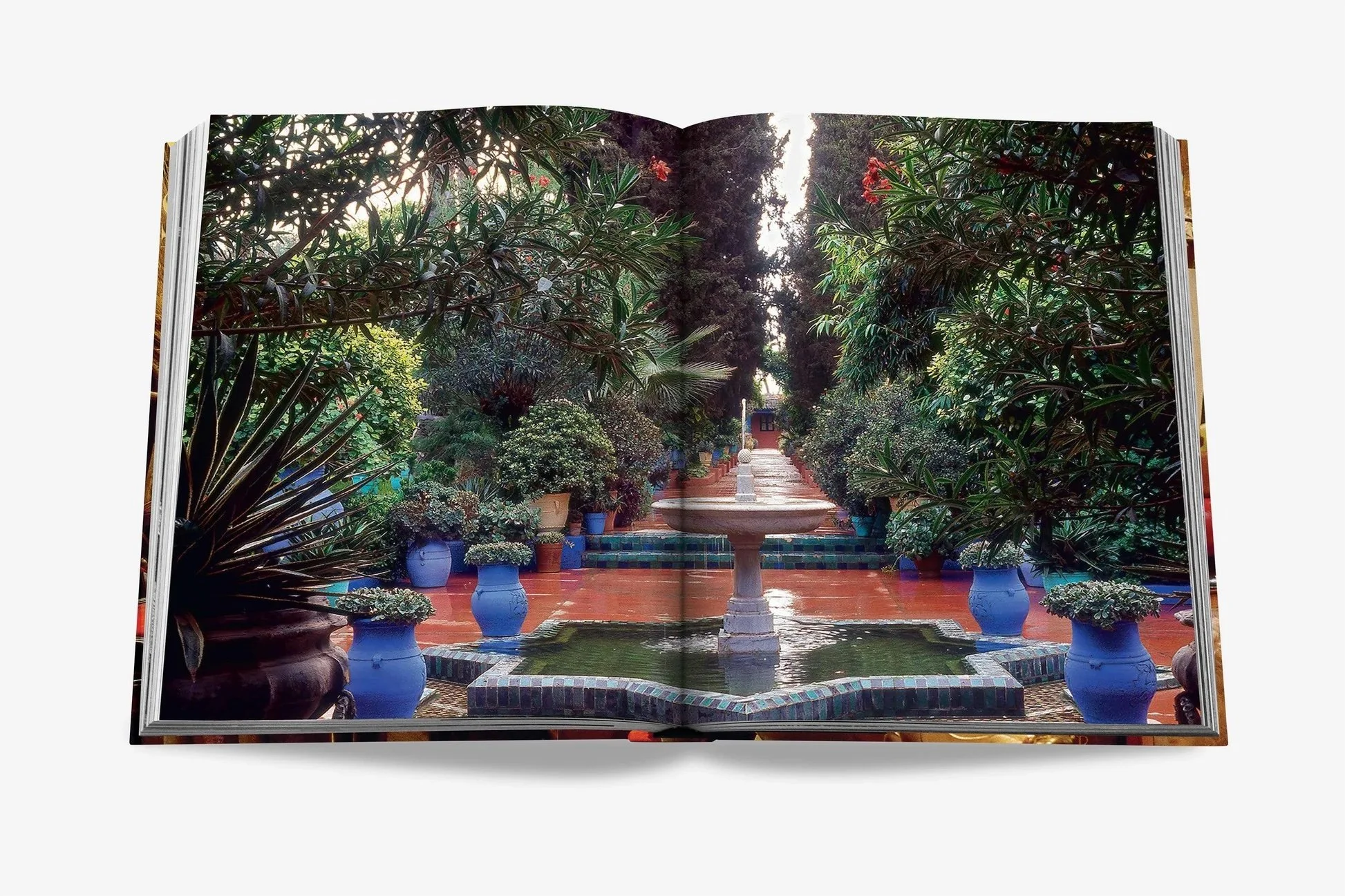 assouline-yves-saint-laurent-at-home-spread-11.jpg