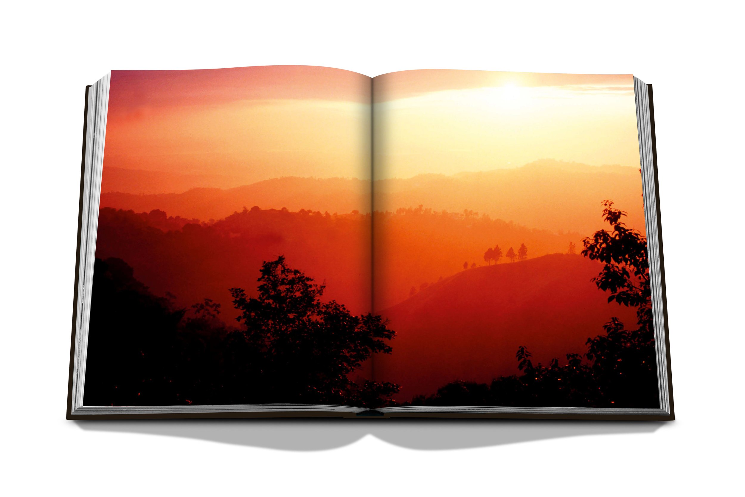 assouline-jamaica-vibes-13.jpg