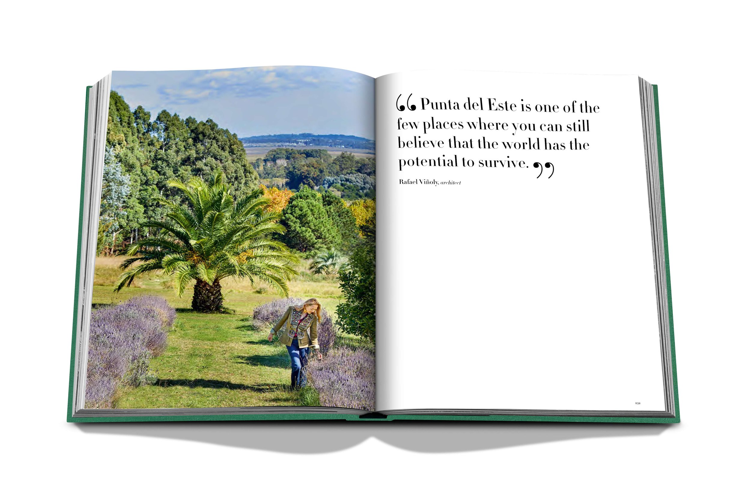 assouline-punta-del-este-11.jpg