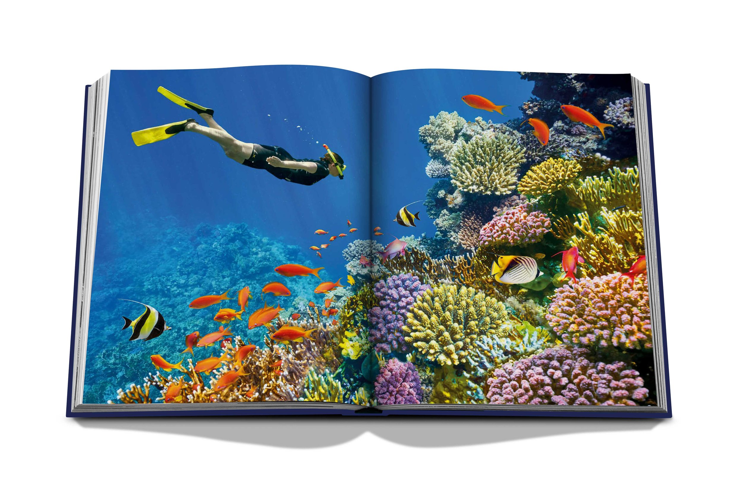 assouline-ocean-wanderlust-06.jpg