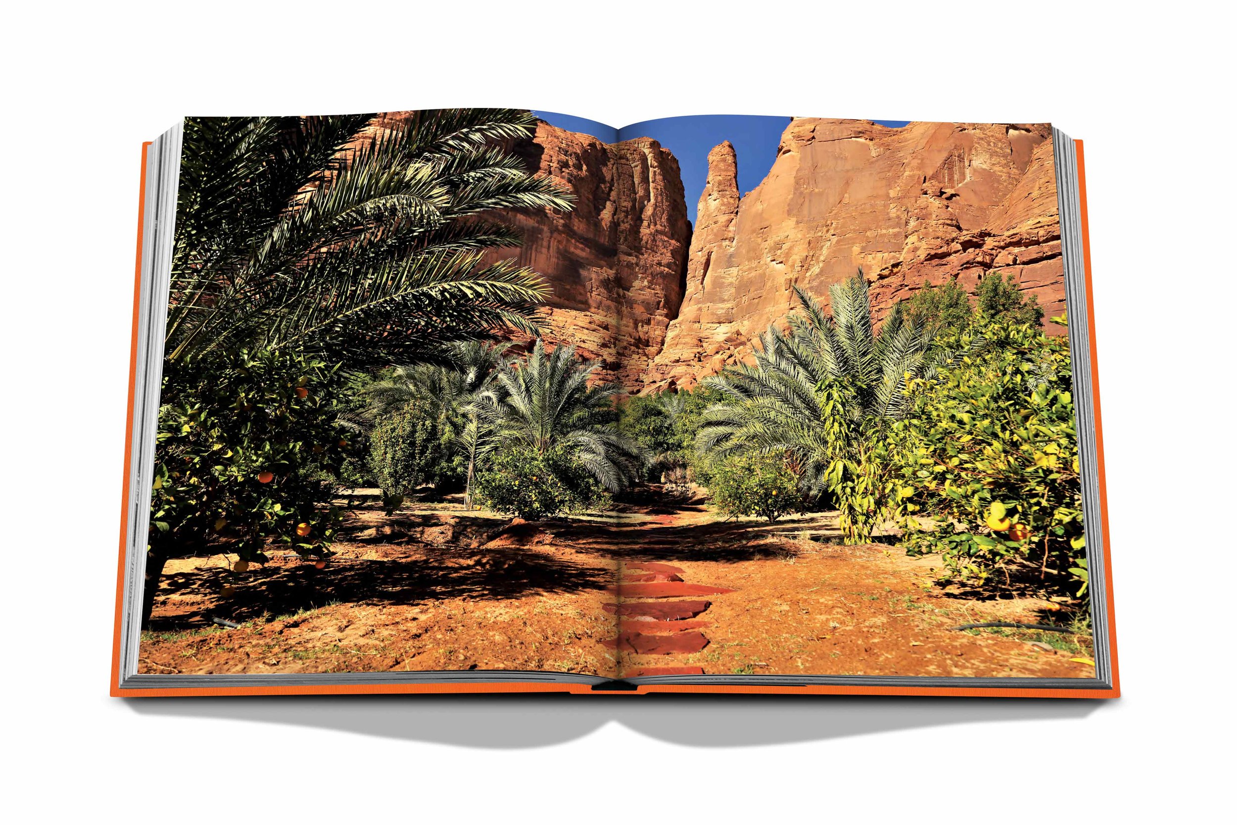 assouline-alula-ever-10.jpg