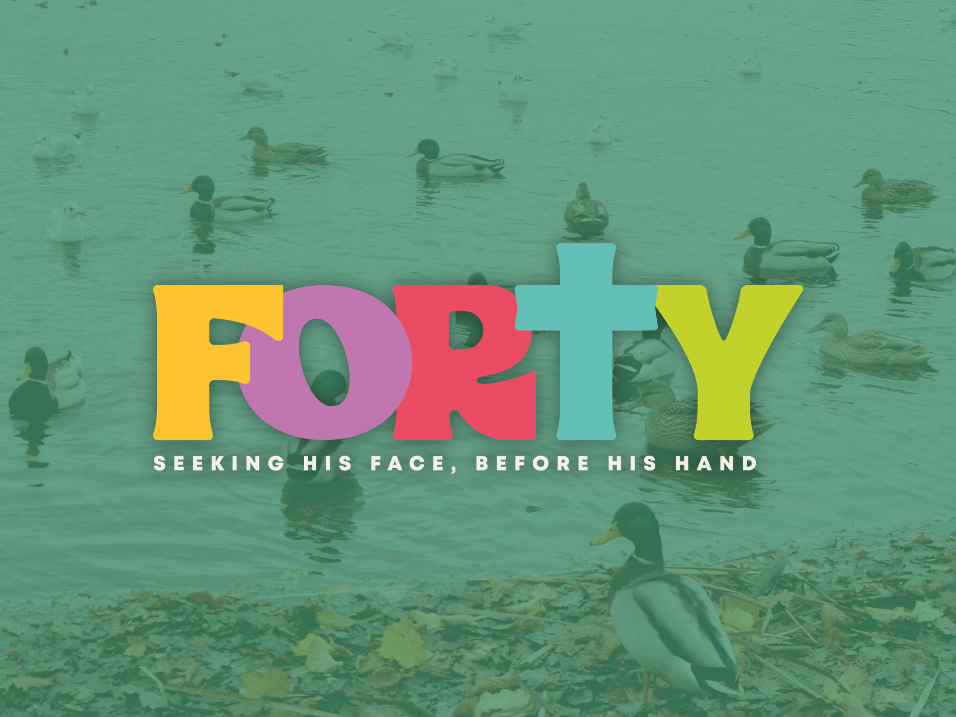 CHW25: Forty 