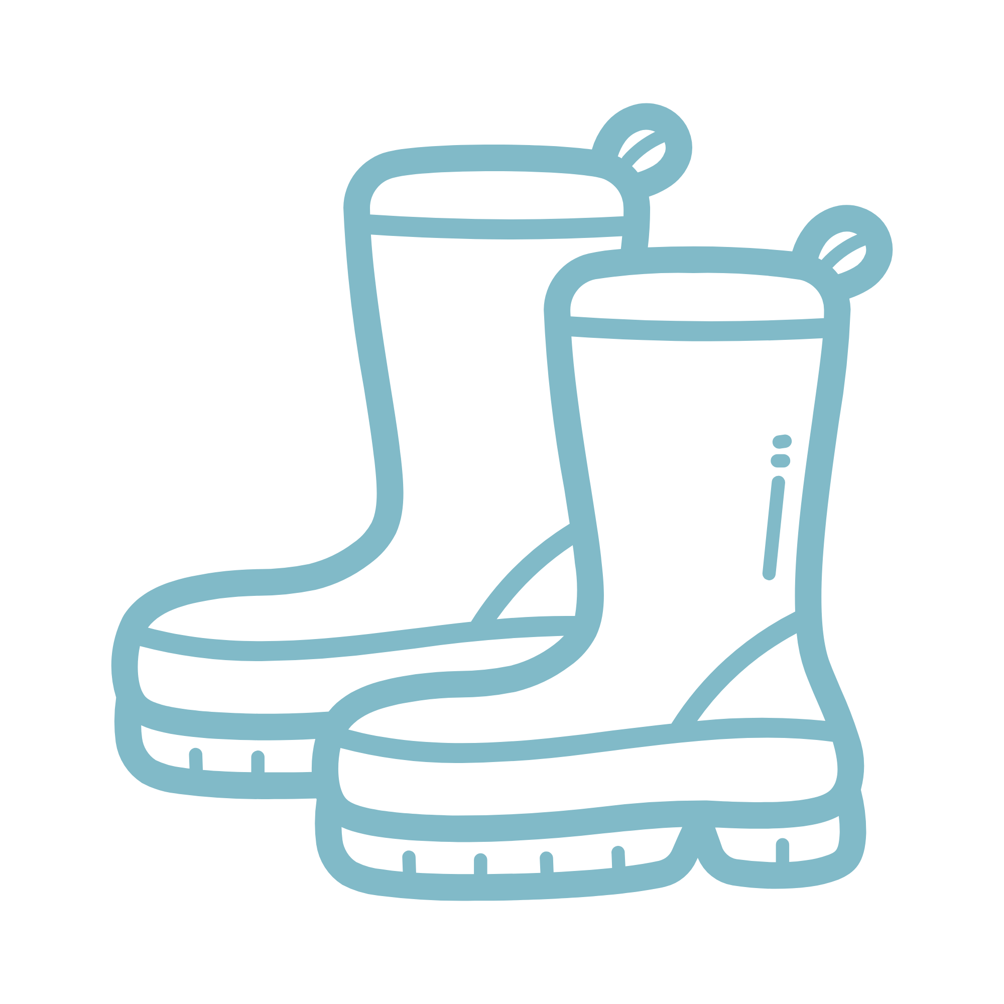 Wellie Boot icon