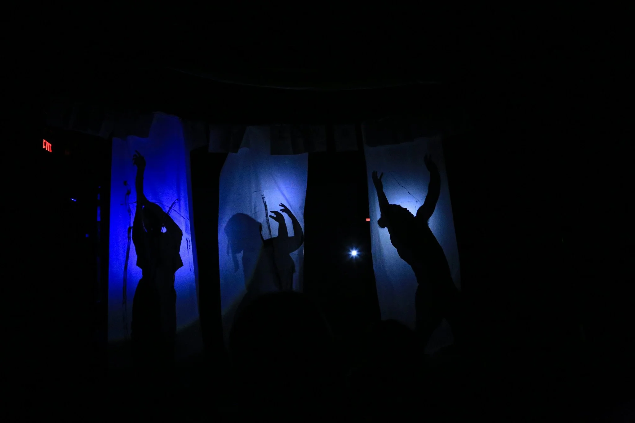 Neos in shadow, blue.jpg