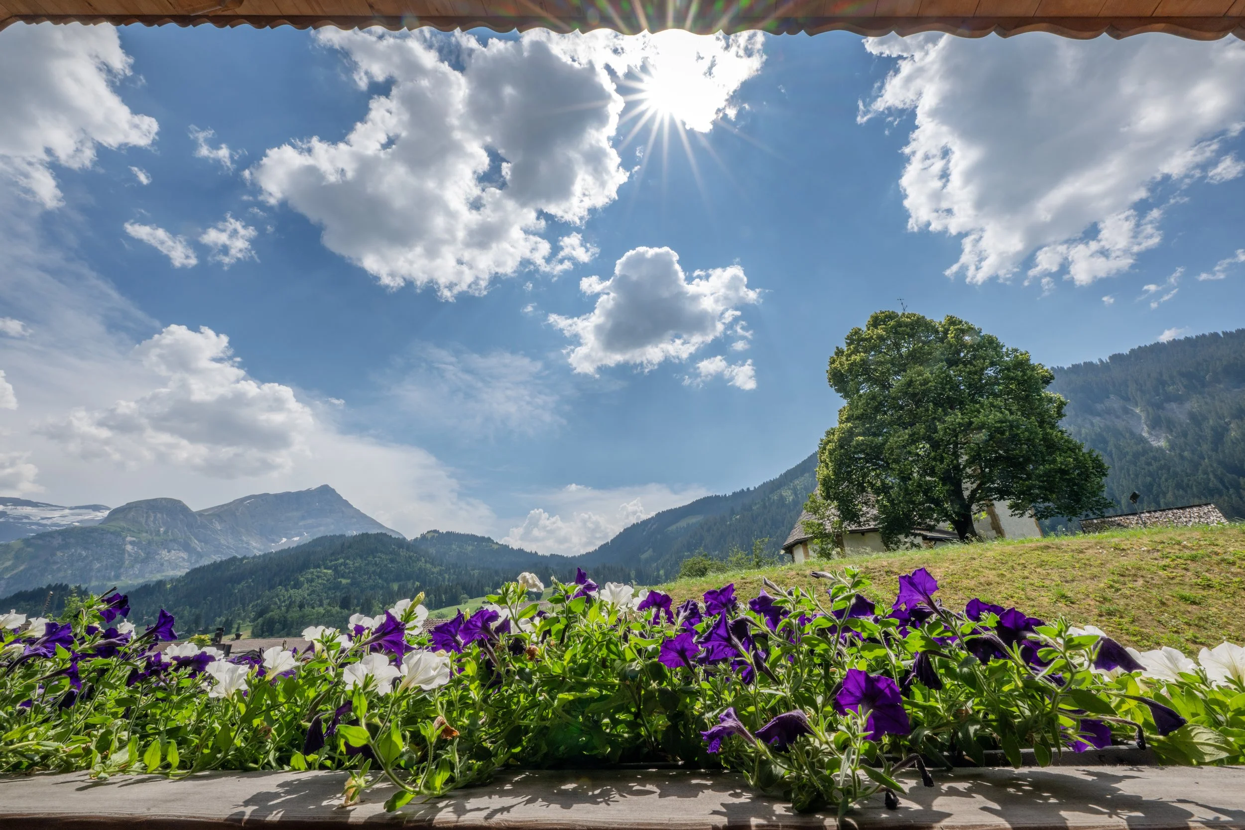 Homepage Aussicht.jpg