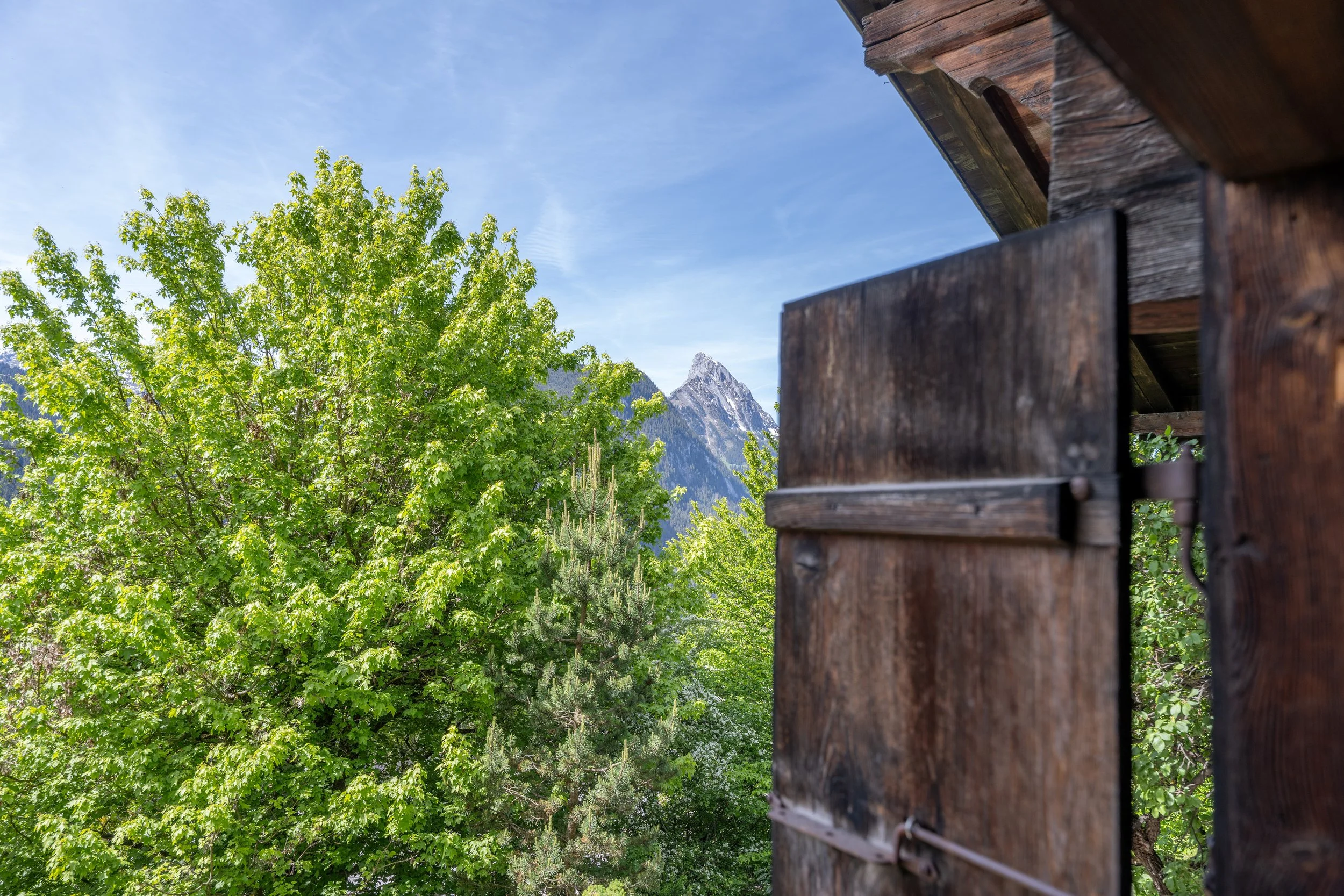 Aussicht Home.jpg
