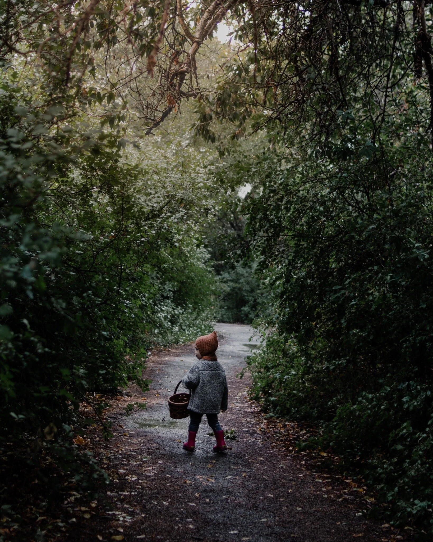 0595B747-7C12-40BC-B55A-135516C7F050