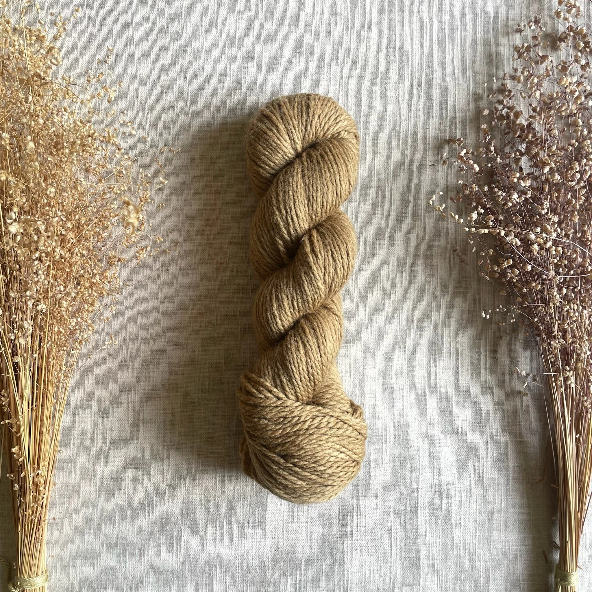 Beech Wood • Merino Aran (SW)
