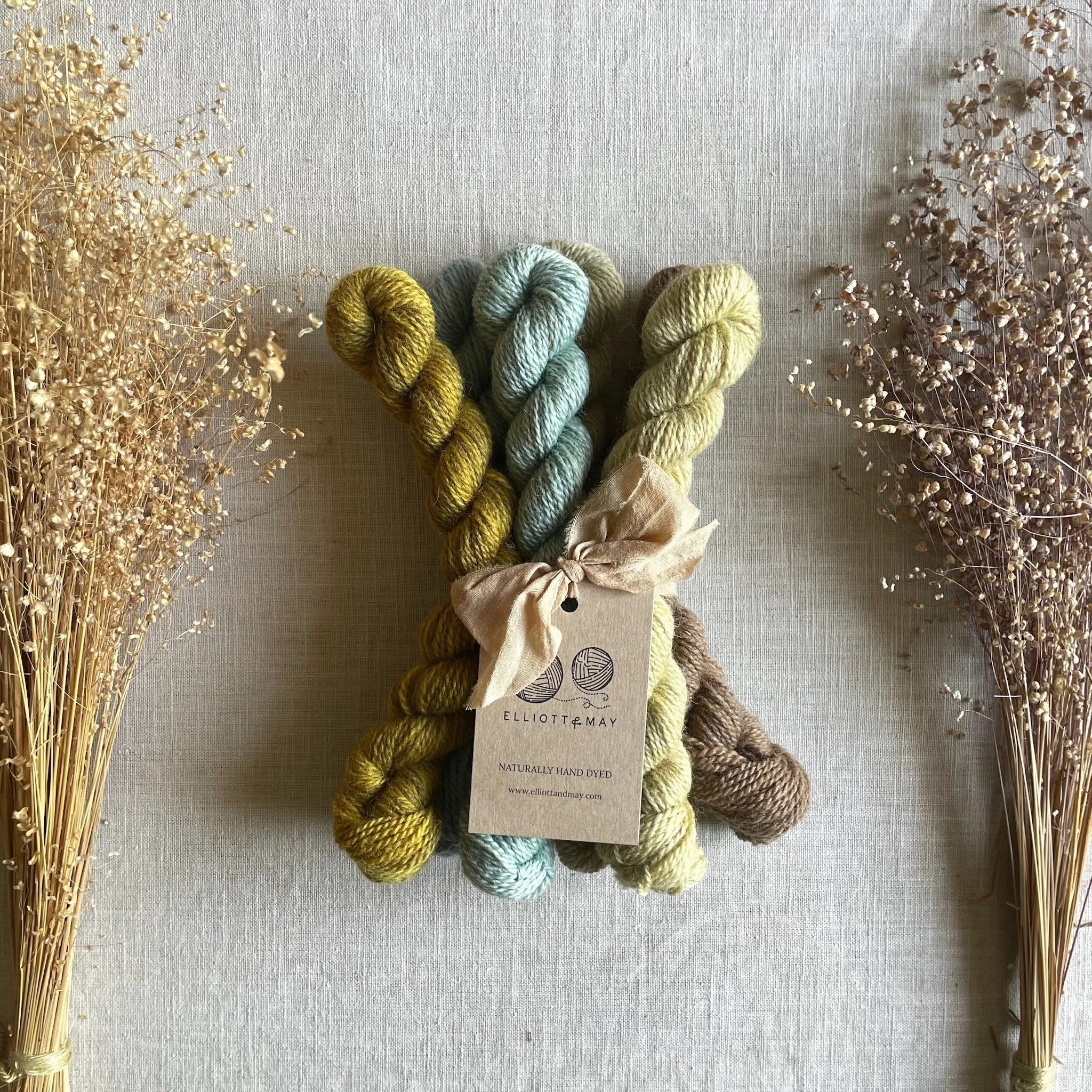 Costal Walk Mini Skeins • BFL Fingering (NSW)
