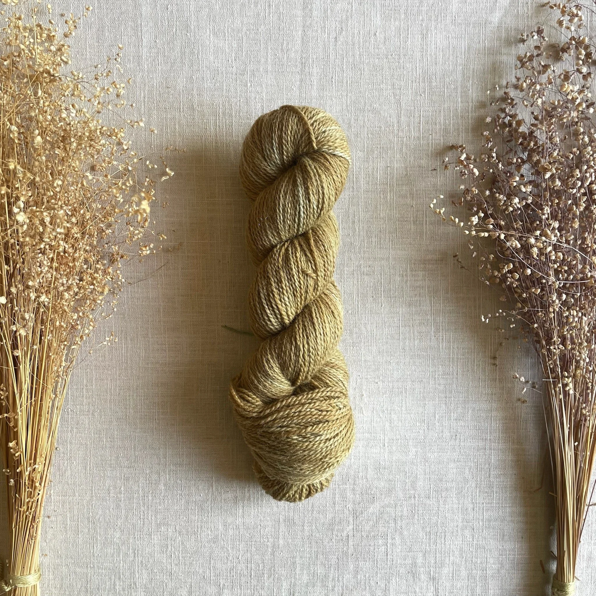 Lichen Gold • BFL Fingering (NSW)