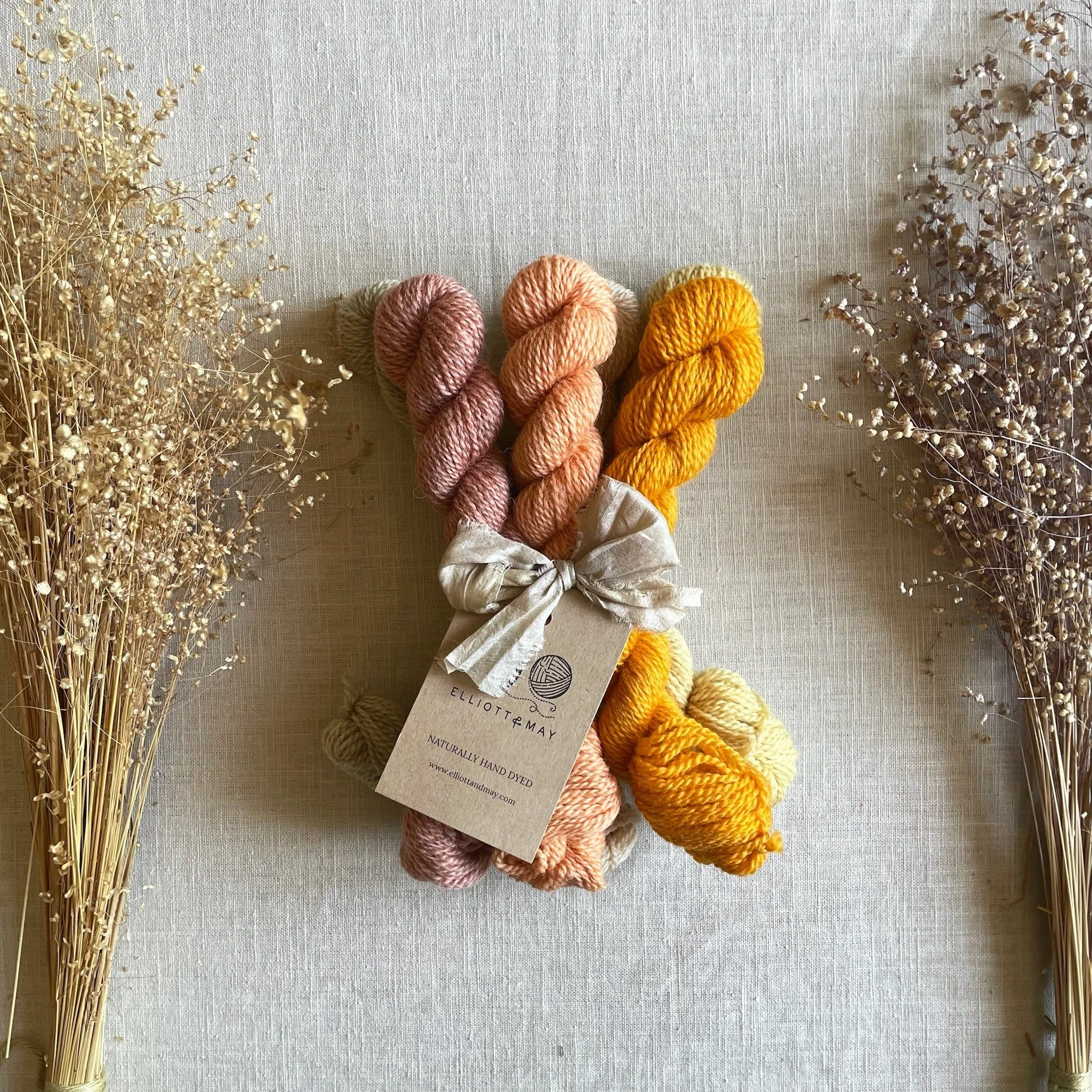Macaroon Mini Skeins • BFL Fingering (NSW)