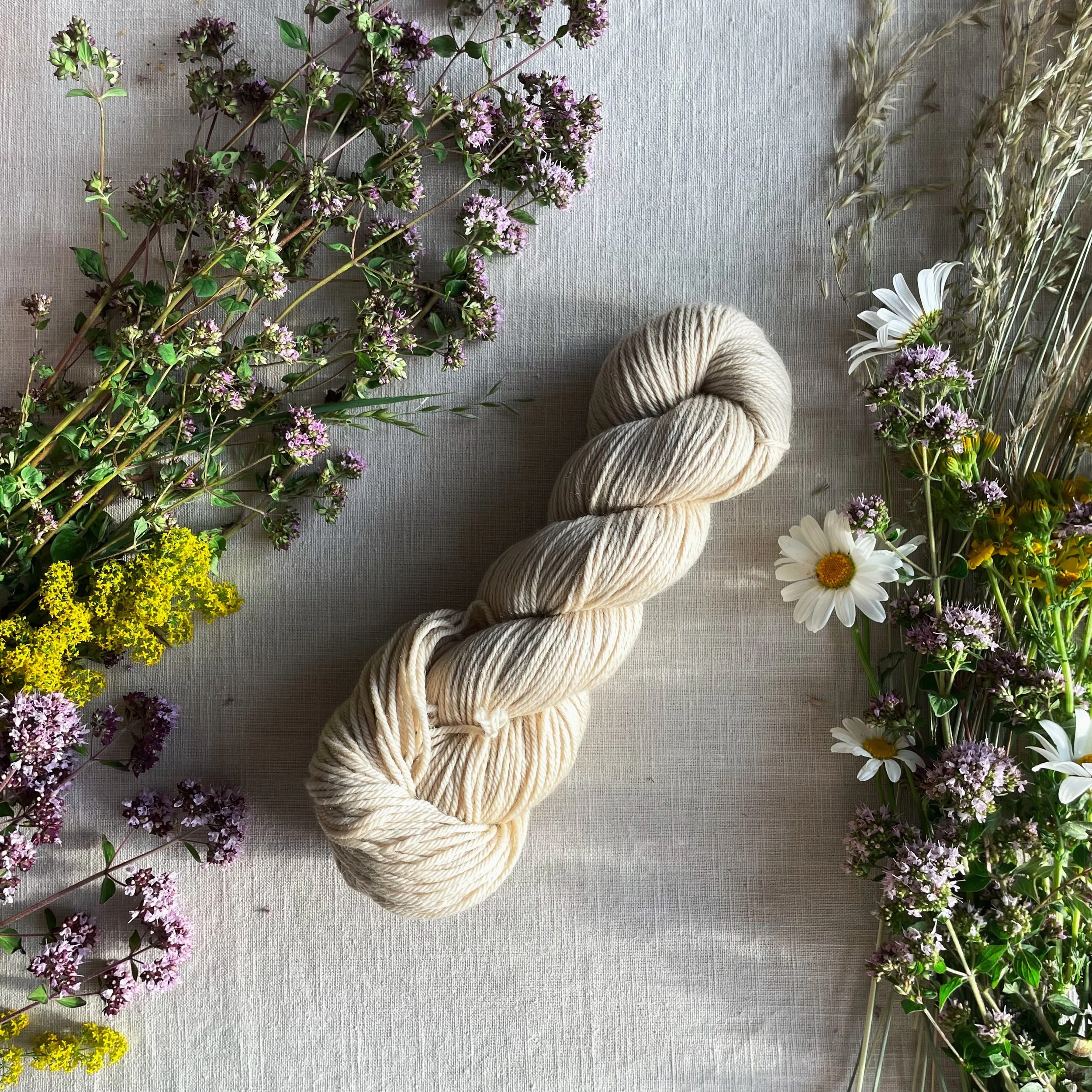 Salt - Merino DK
