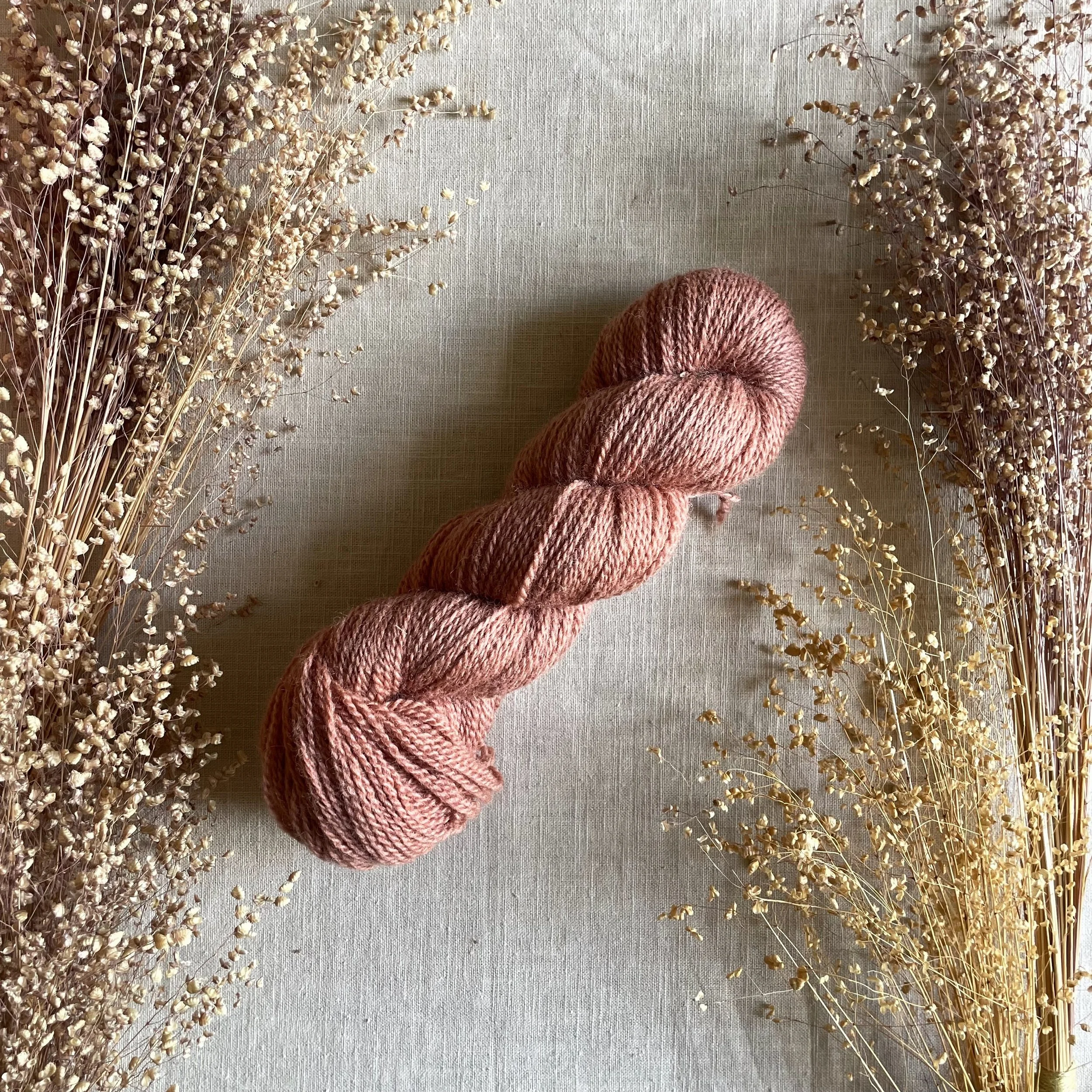 Rosehip - Blue Faced Leicester Fingering Weight
