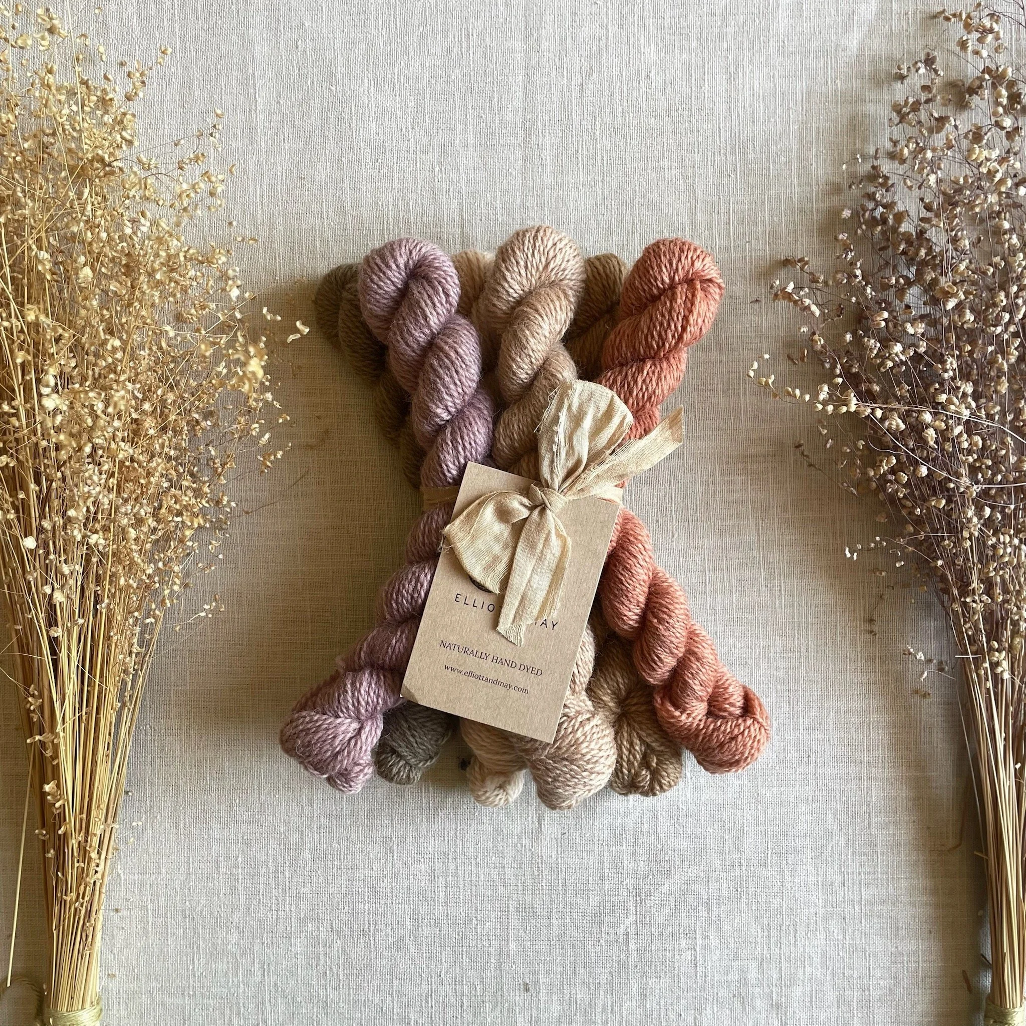 Blossom and Bark Mini Skeins • BFL Fingering (NSW)