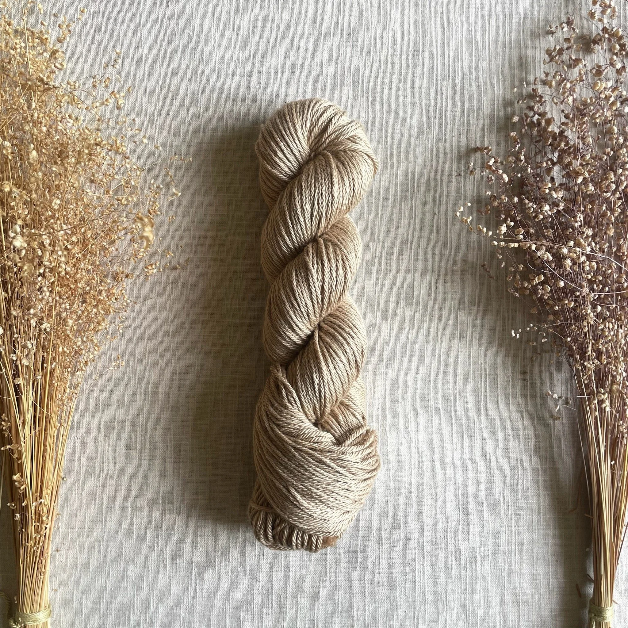 NEW • Soft Gold • Merino Silk DK (SW)