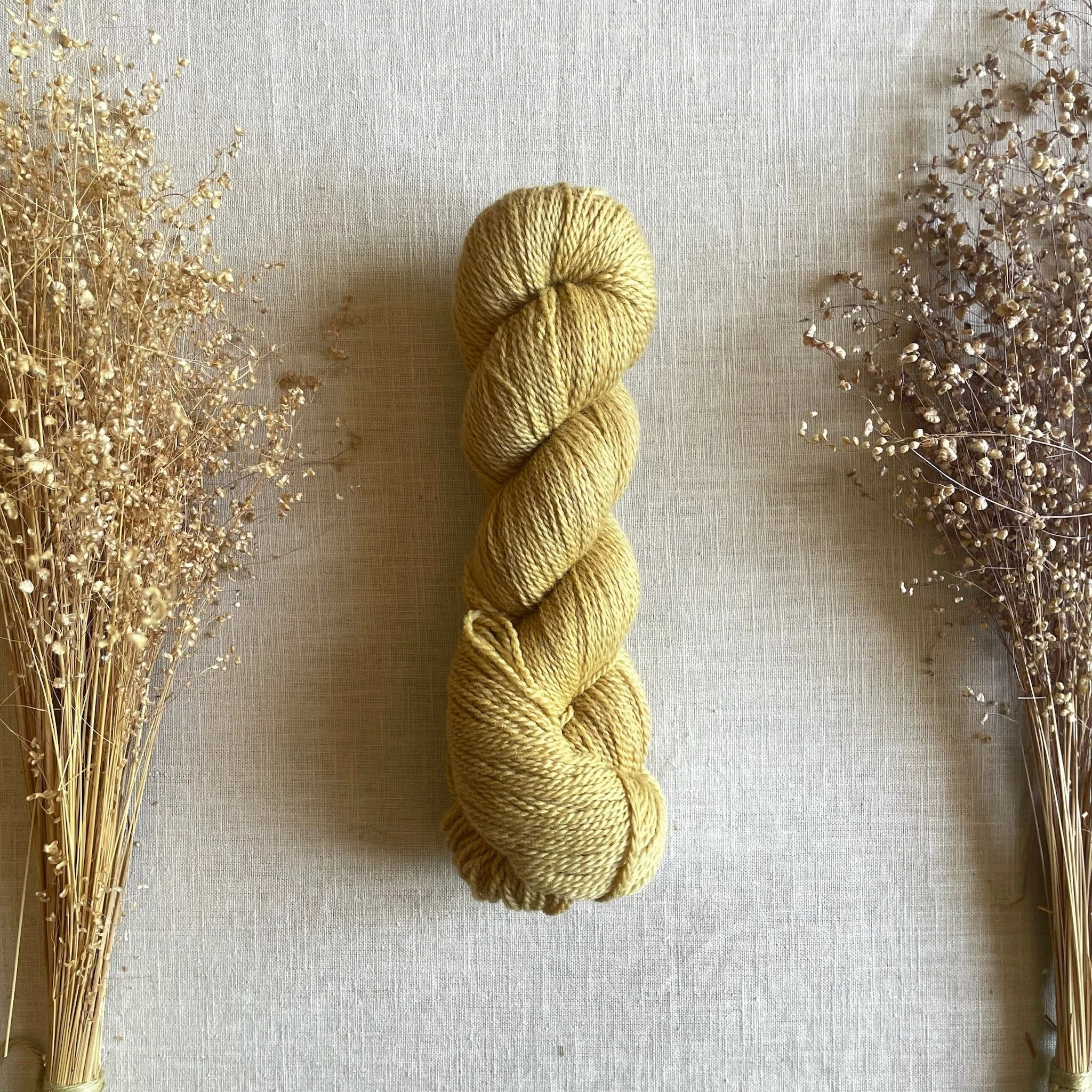 Sunkiss • Organic Merino Fingering (NSW)