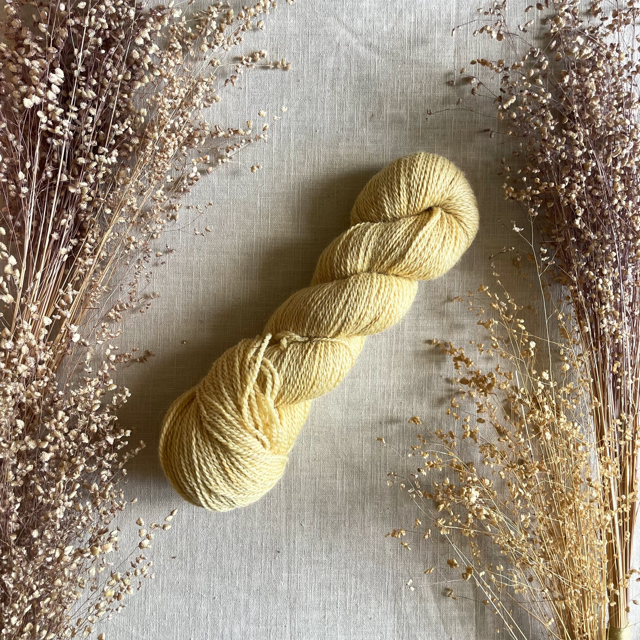 Light Walnut - Blue Faced Leicester Fingering Weight