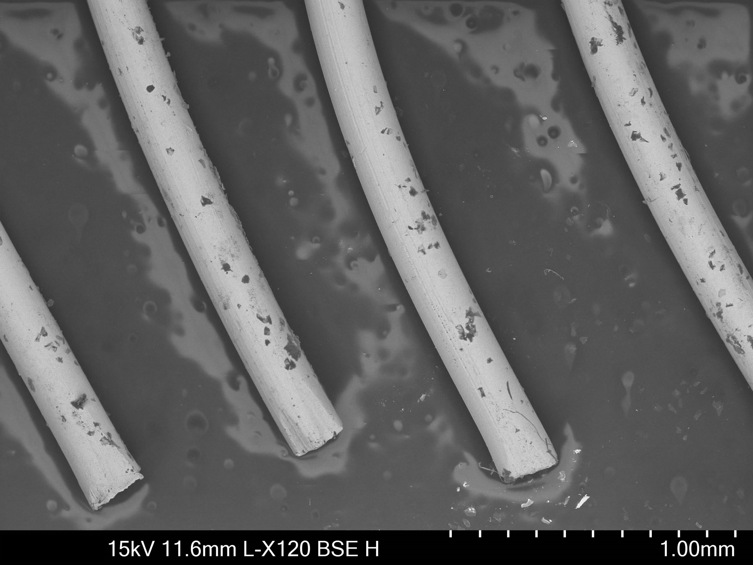 Wire SEM.png