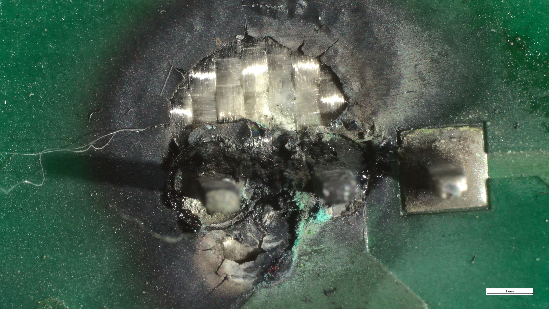 Sample 540 OM Photograph 6.png