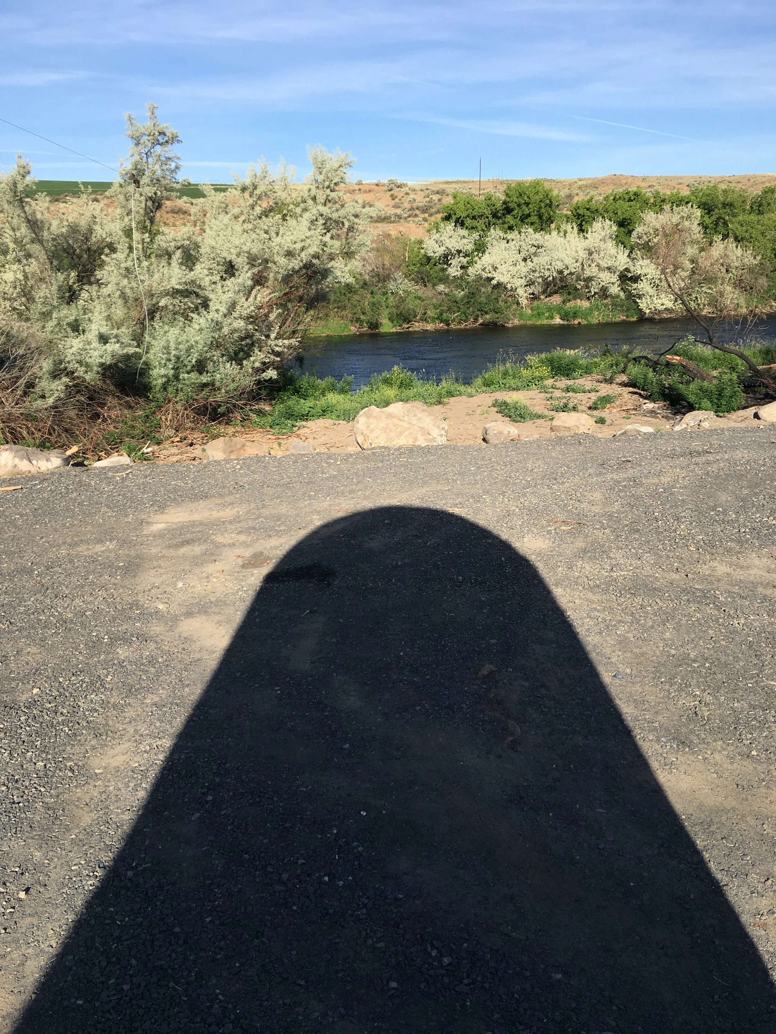 Day Three: I AM THE SALMON